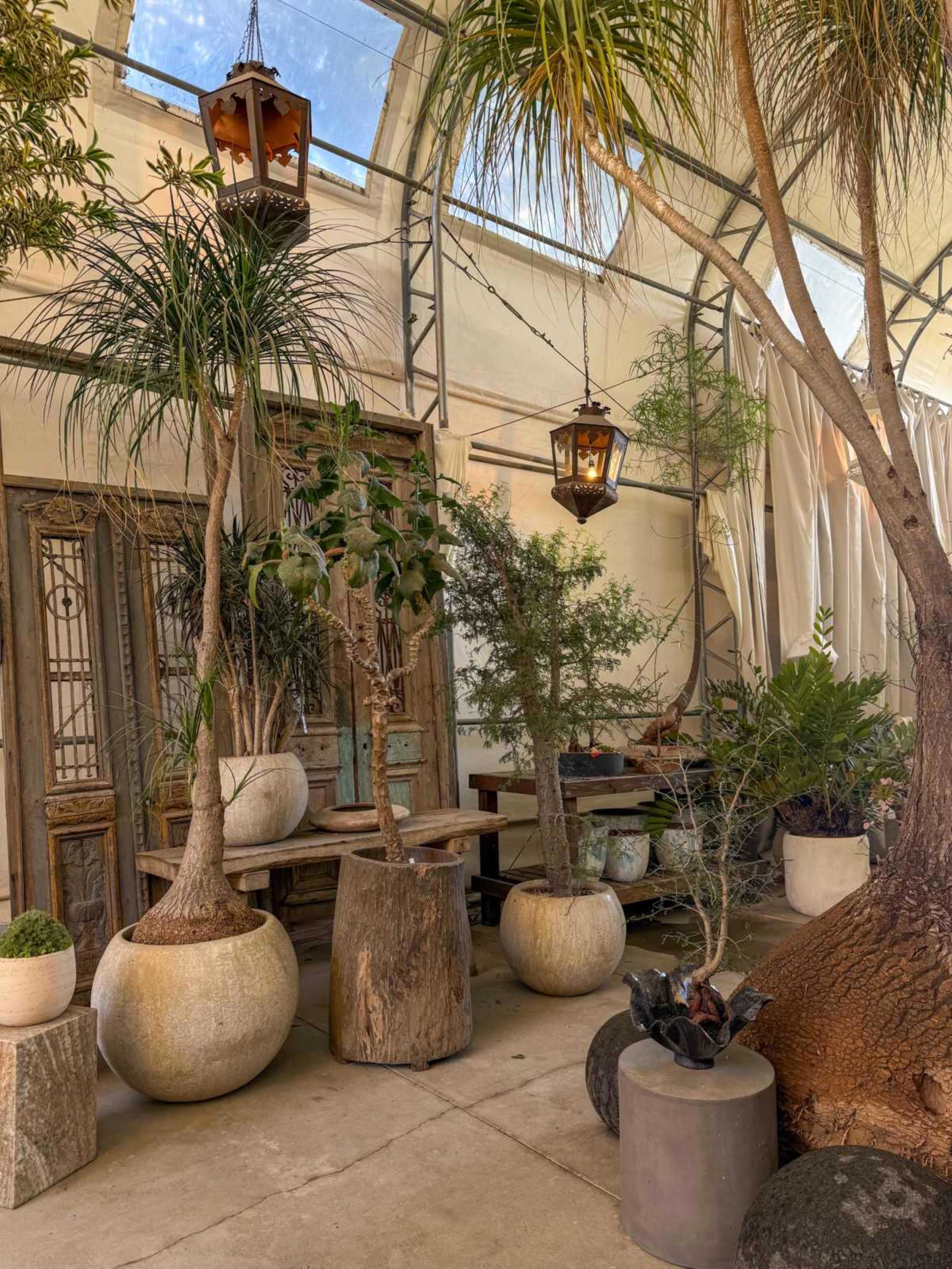 Plant-Filled Greenhouse with Outdoor Gathering Area Image in East Irvine, Irvine, CA