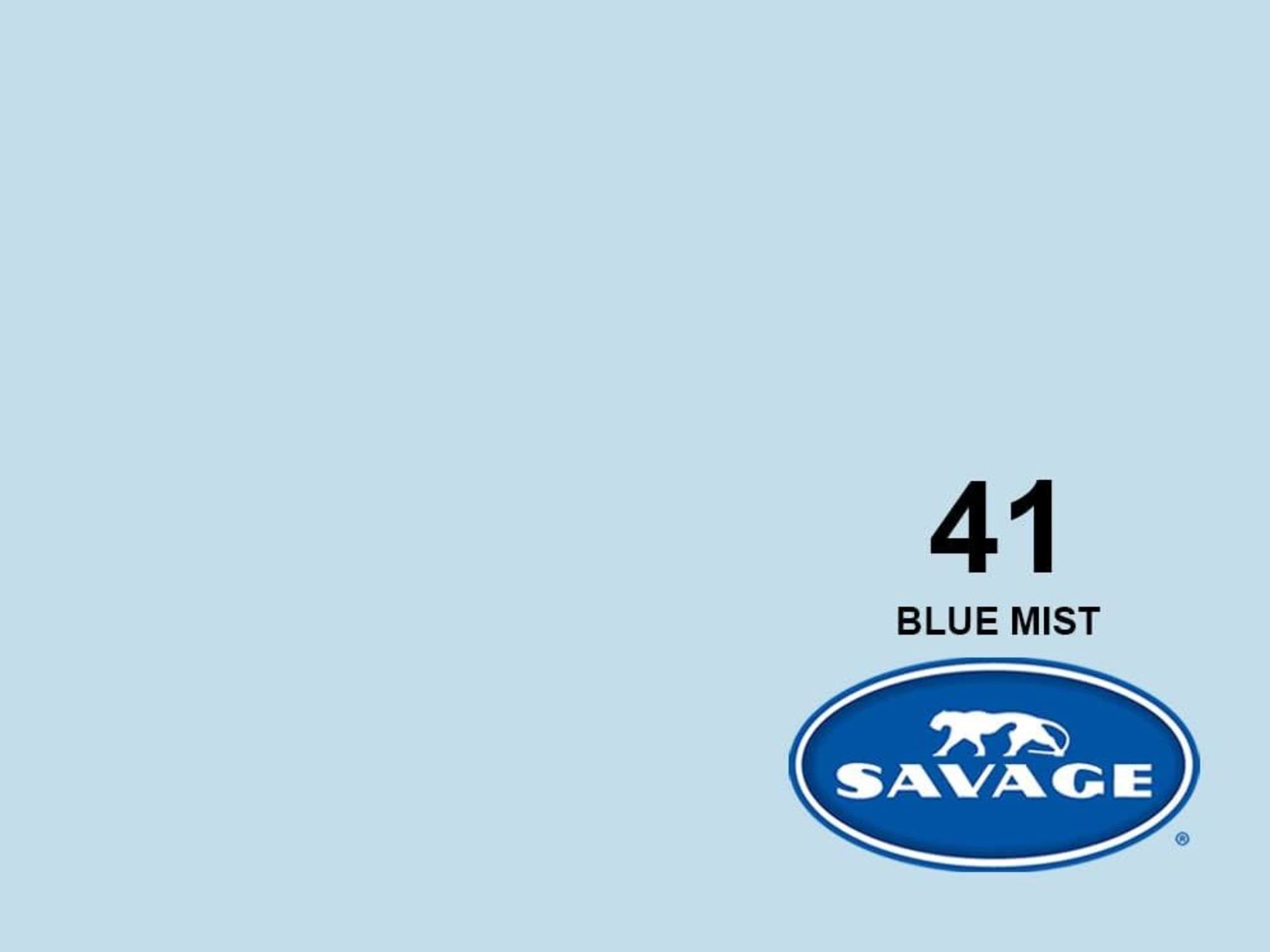 Savage Seamless Paper Backdrop (7 ft Width -blue)