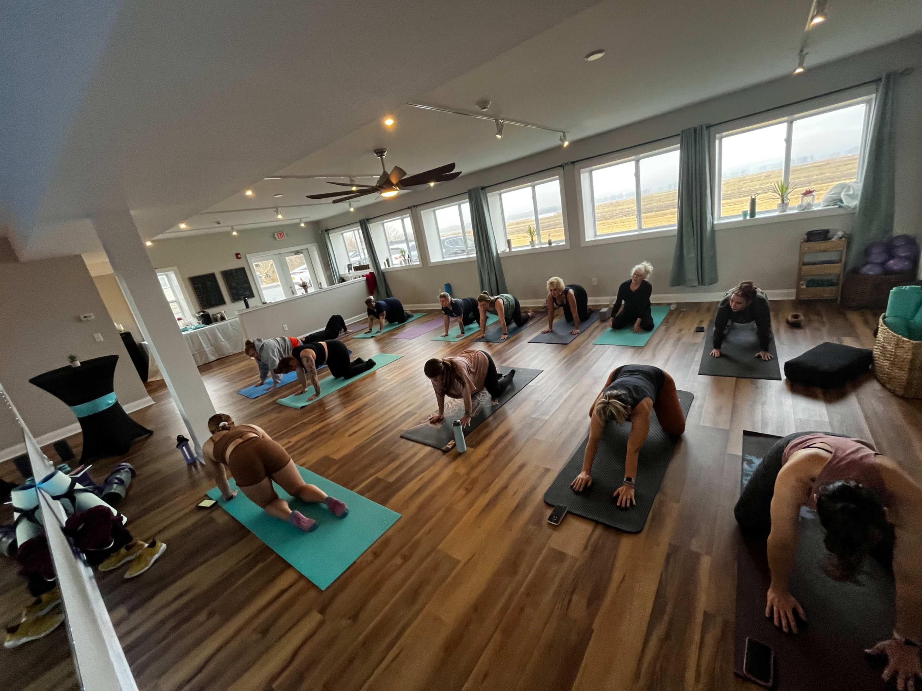 A group of individuals participates in a yoga class on mats in a bright room with large windows overlooking a vineyard.