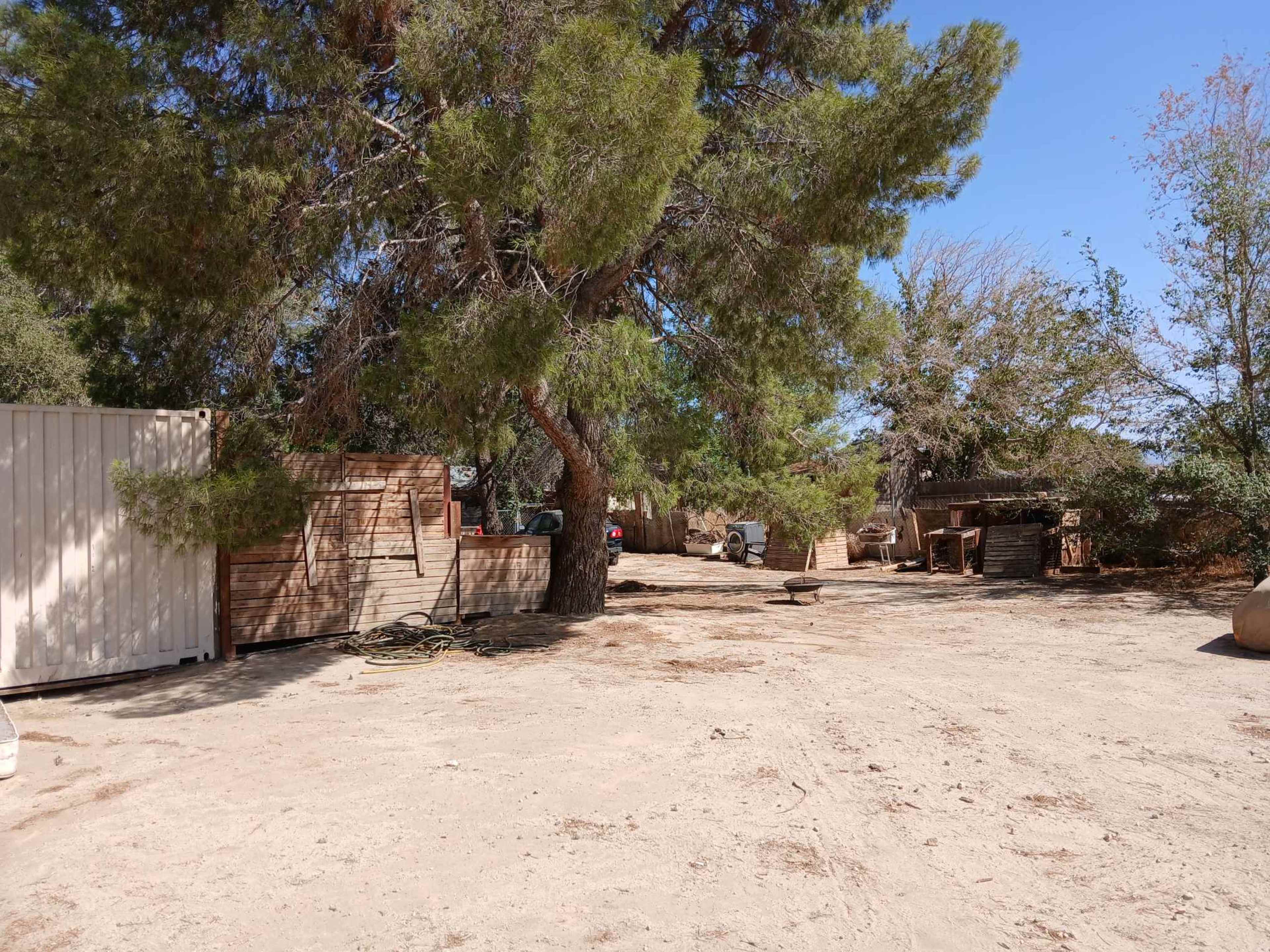 The scene shows a dirt area with a large tree, wooden structures, and sparse foliage under a clear blue sky.