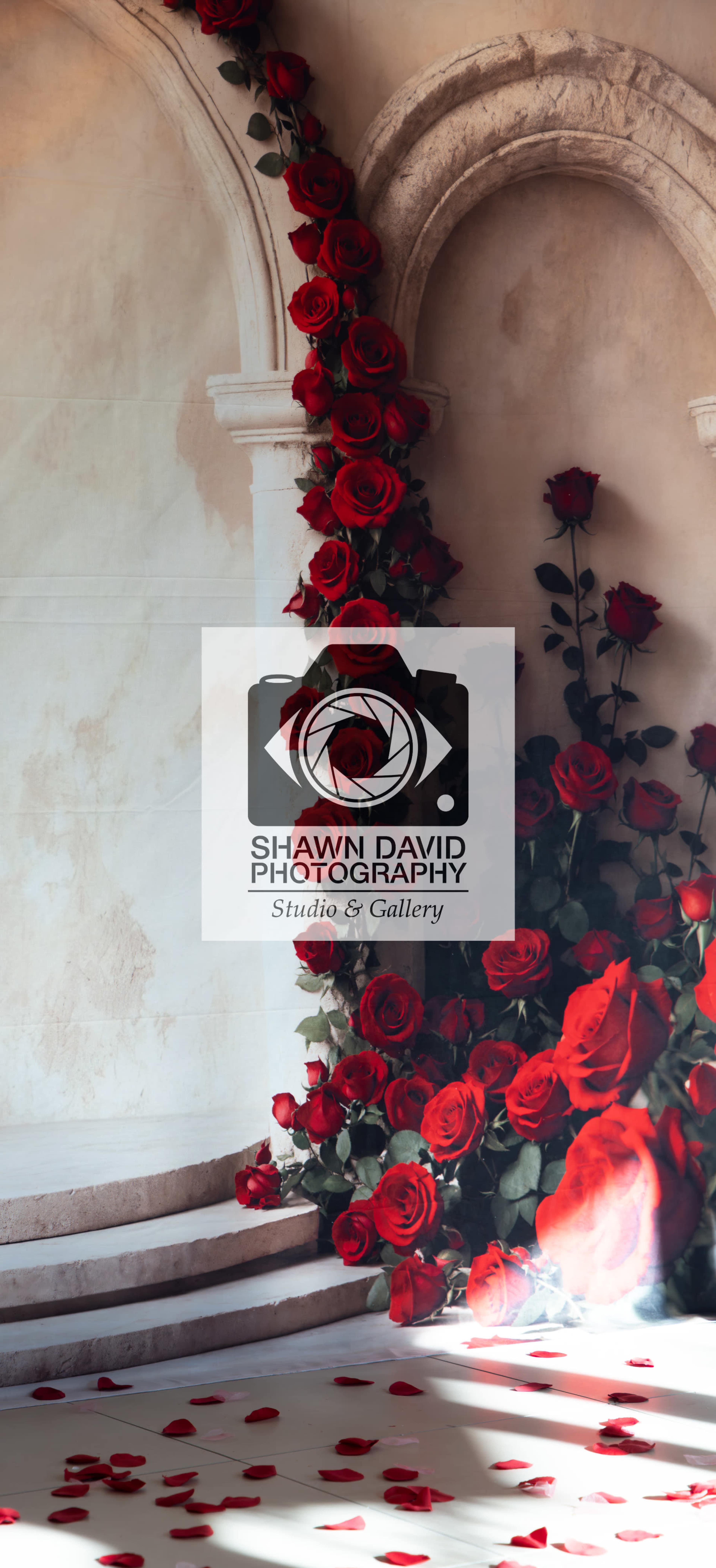 Private Event - Small Party Image in Clarksburg, Clarksburg, MD