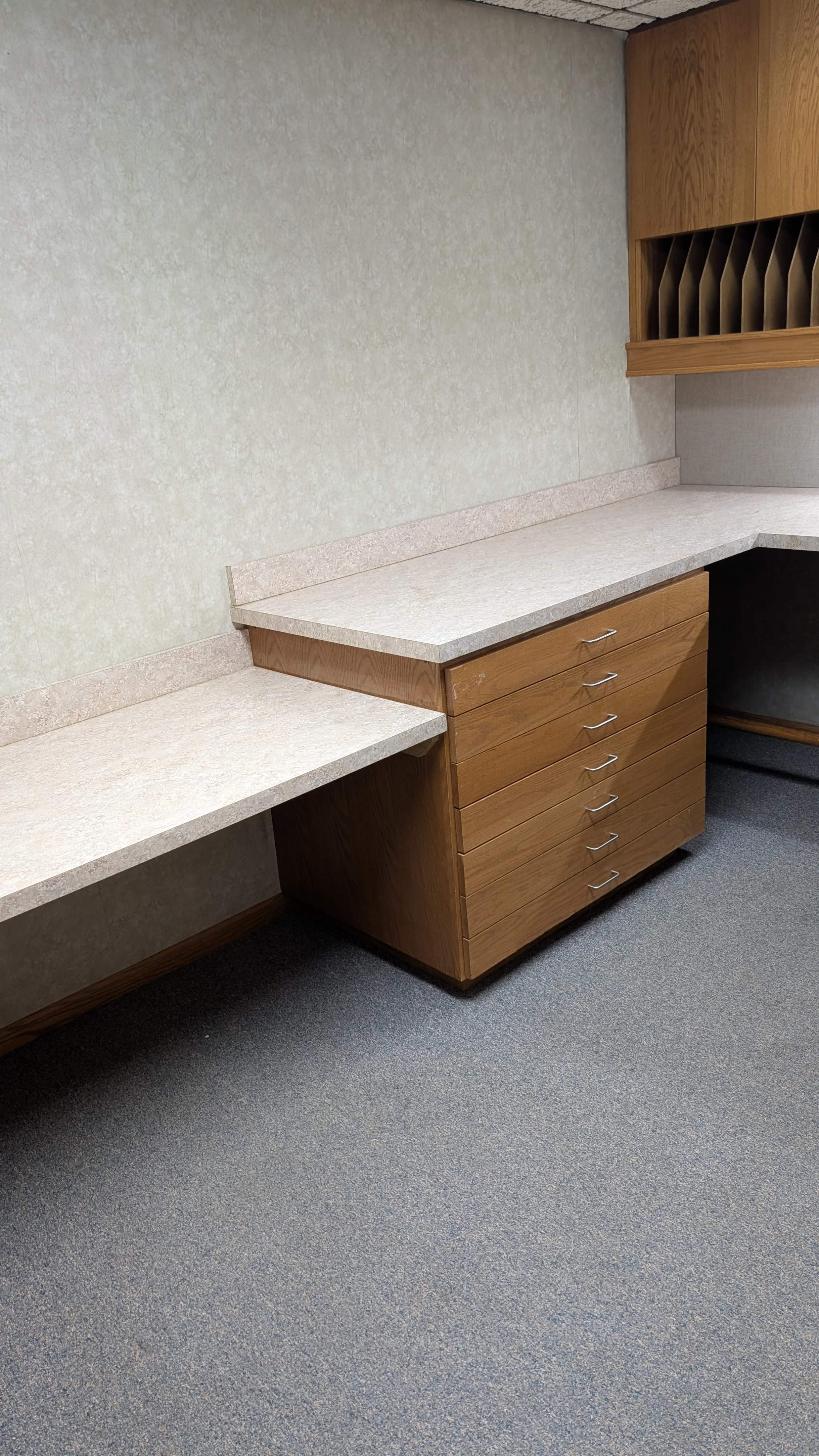 The image shows a vacant room with light-colored walls, a carpeted floor, and wooden countertops with drawer units along the walls.