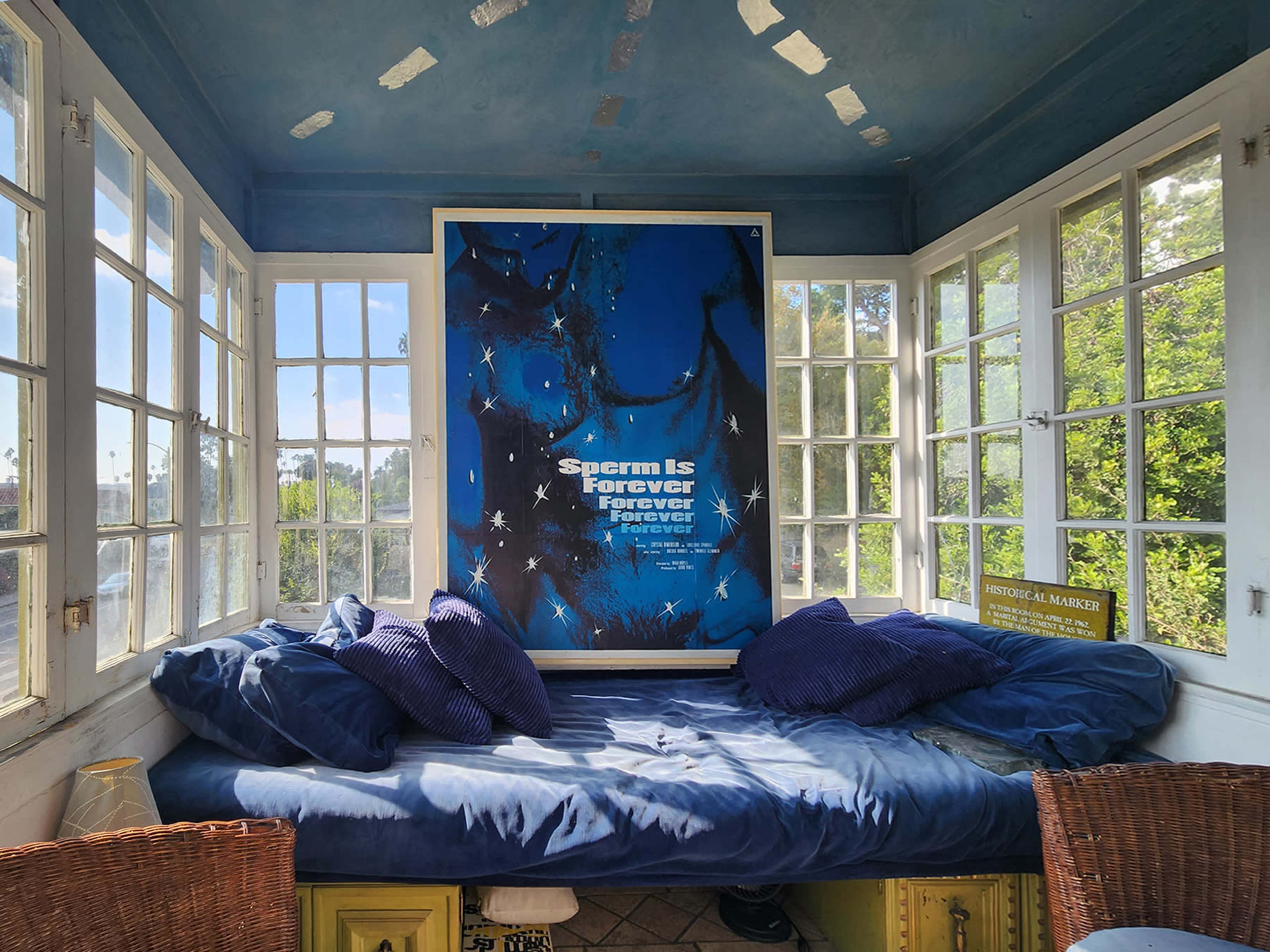 A bright room with multiple windows features a large poster on an easel that reads "Sperm Is Forever" against a blue background, and a seating area with blue cushions.