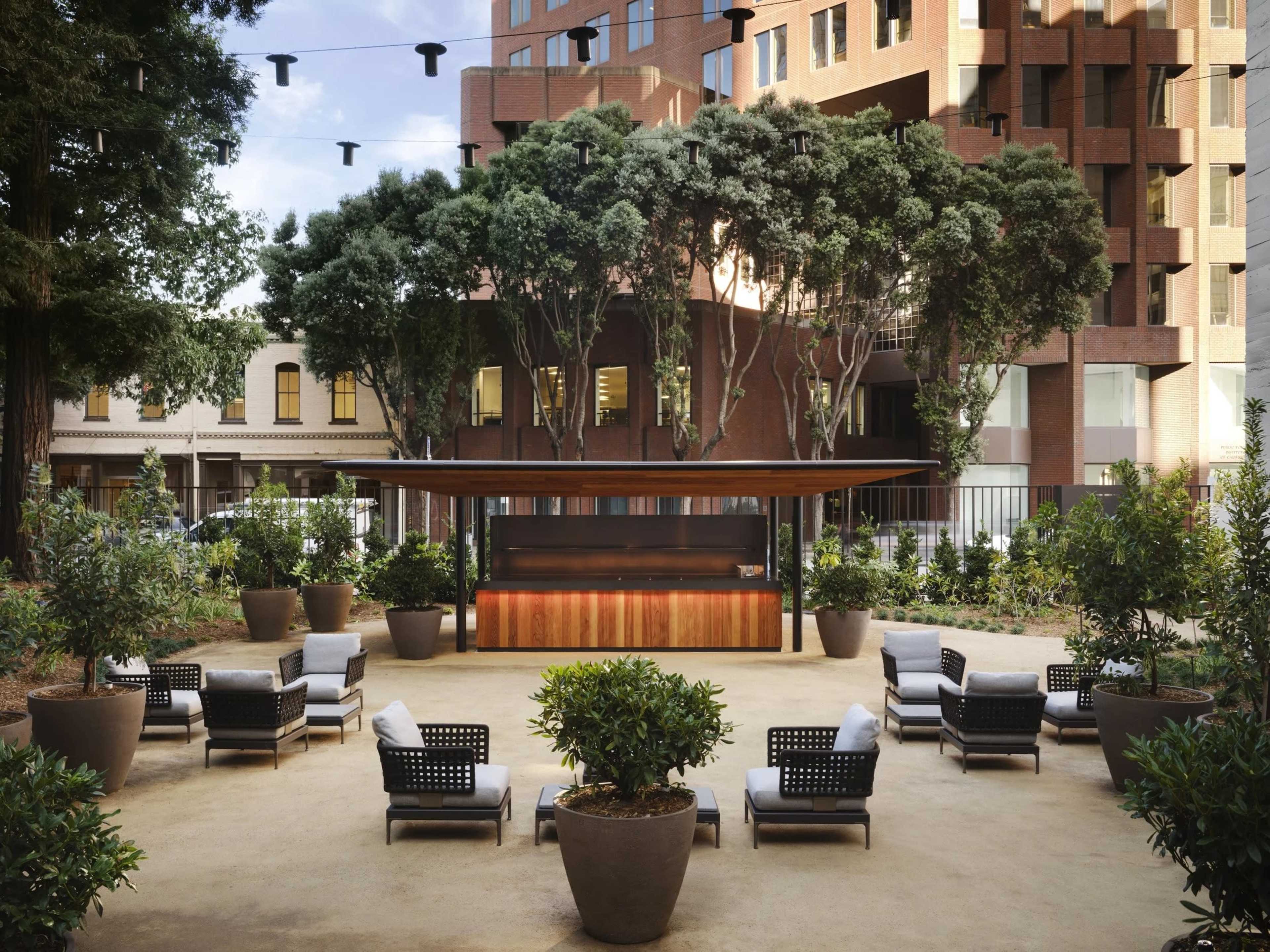 The image shows a landscaped outdoor seating area with planters, lounge chairs, and a bar beneath large trees and surrounded by modern buildings.