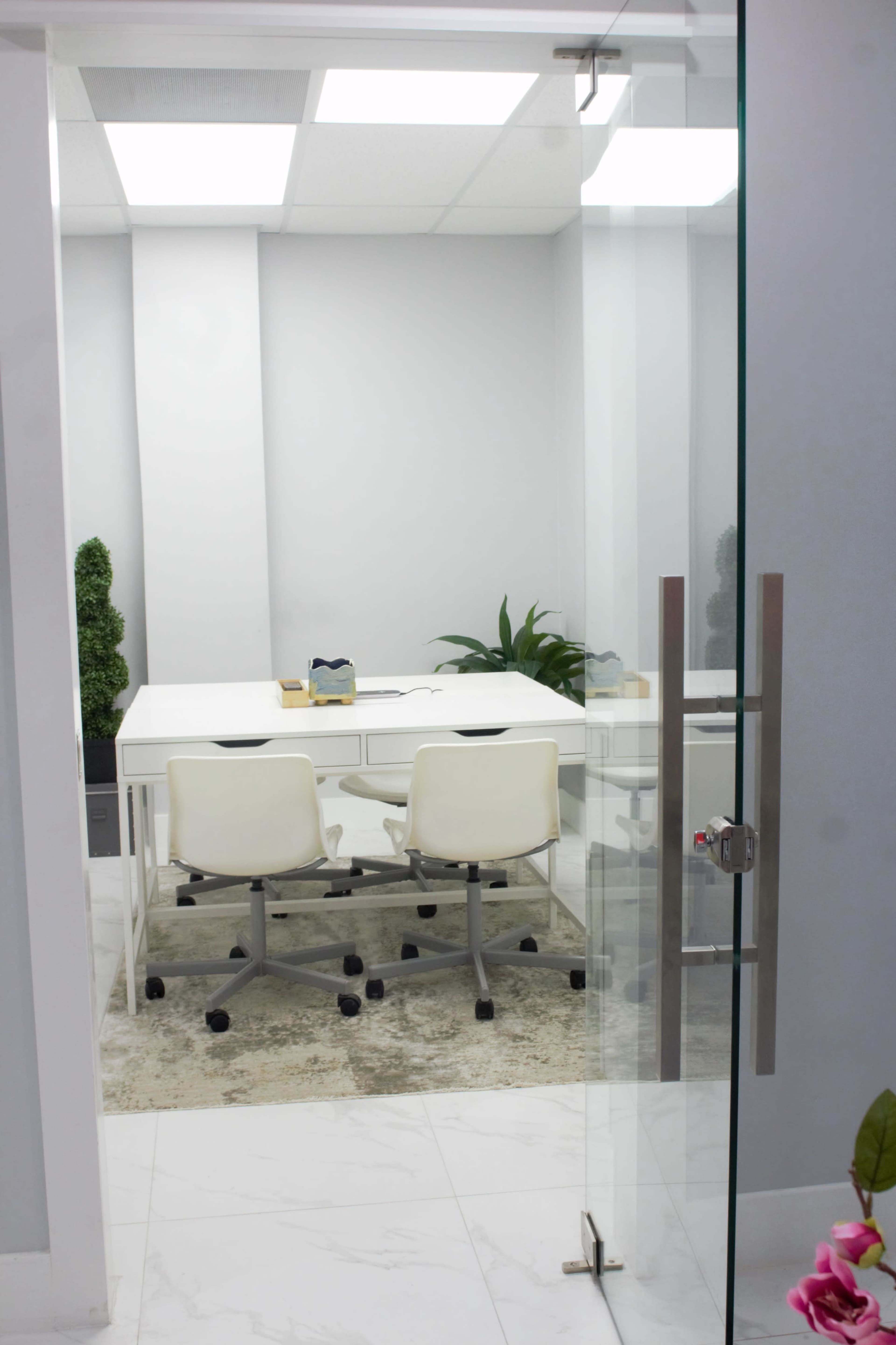 A modern conference room with a white table, two white chairs, and potted plants, visible through a glass door.