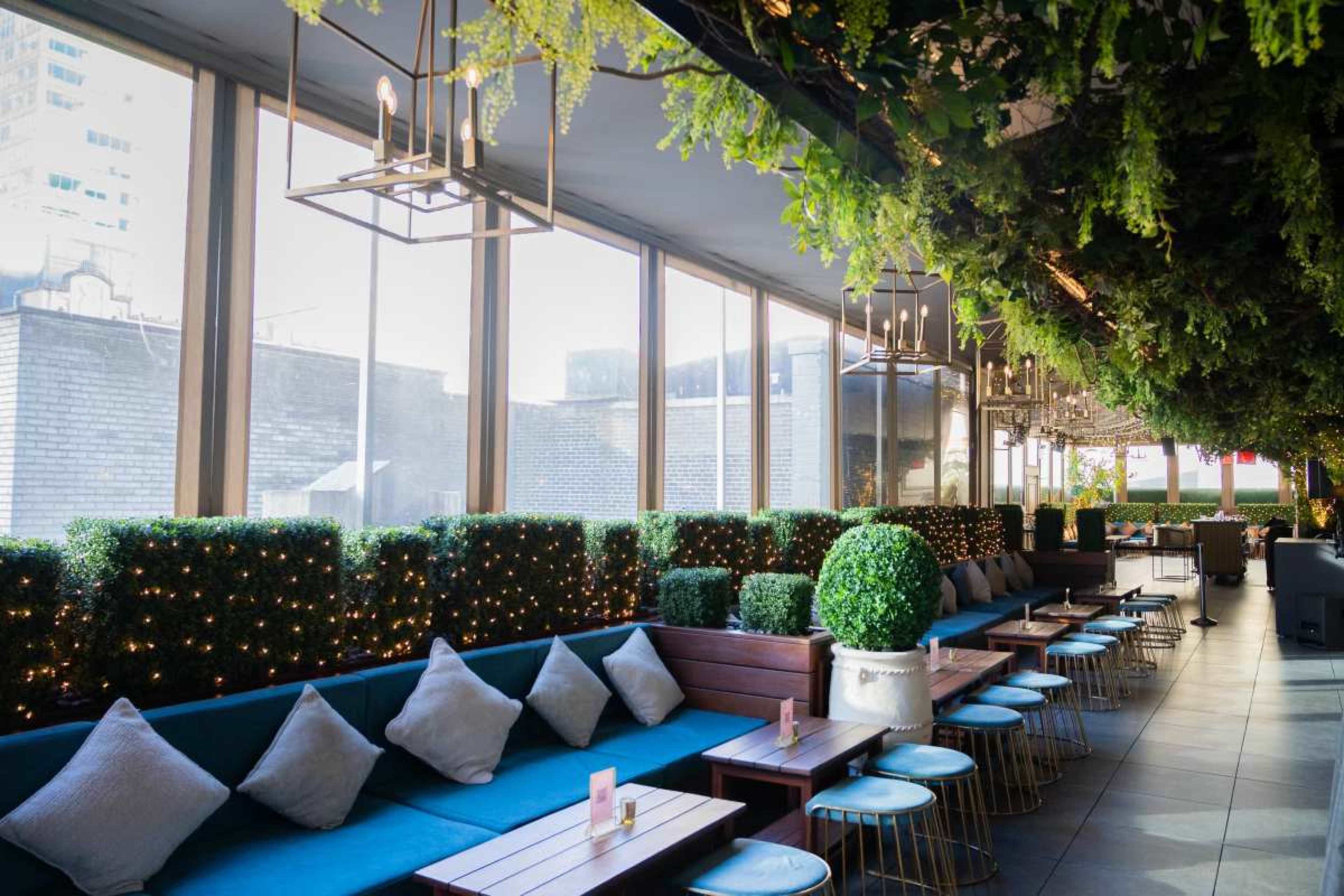 The image shows a stylish indoor lounge with green foliage, plush seating, and lit decorative elements beside large windows.