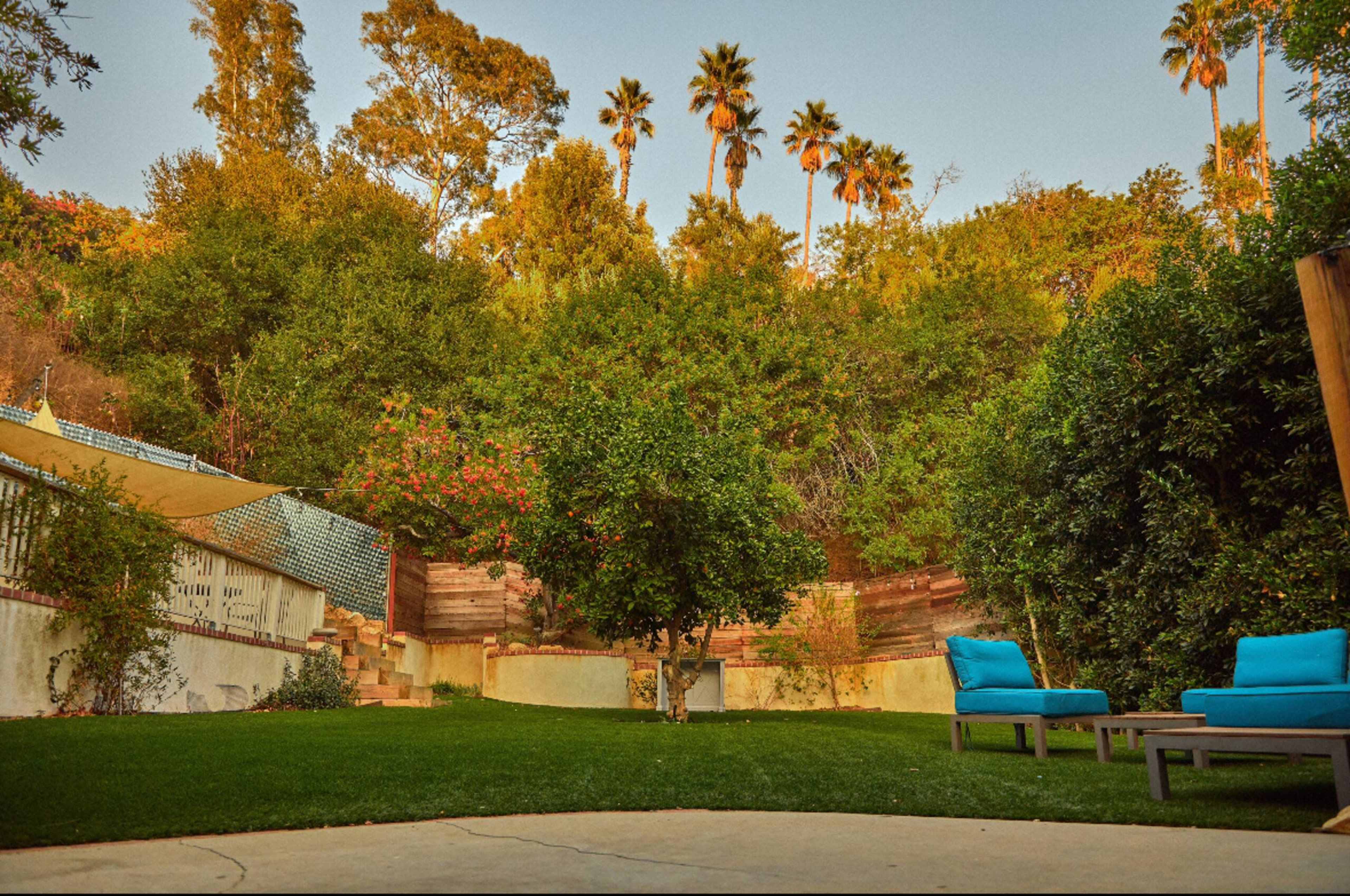 The image shows a landscaped backyard featuring green grass, a prominent tree, and two blue lounge chairs surrounded by lush greenery and palm trees in the background.