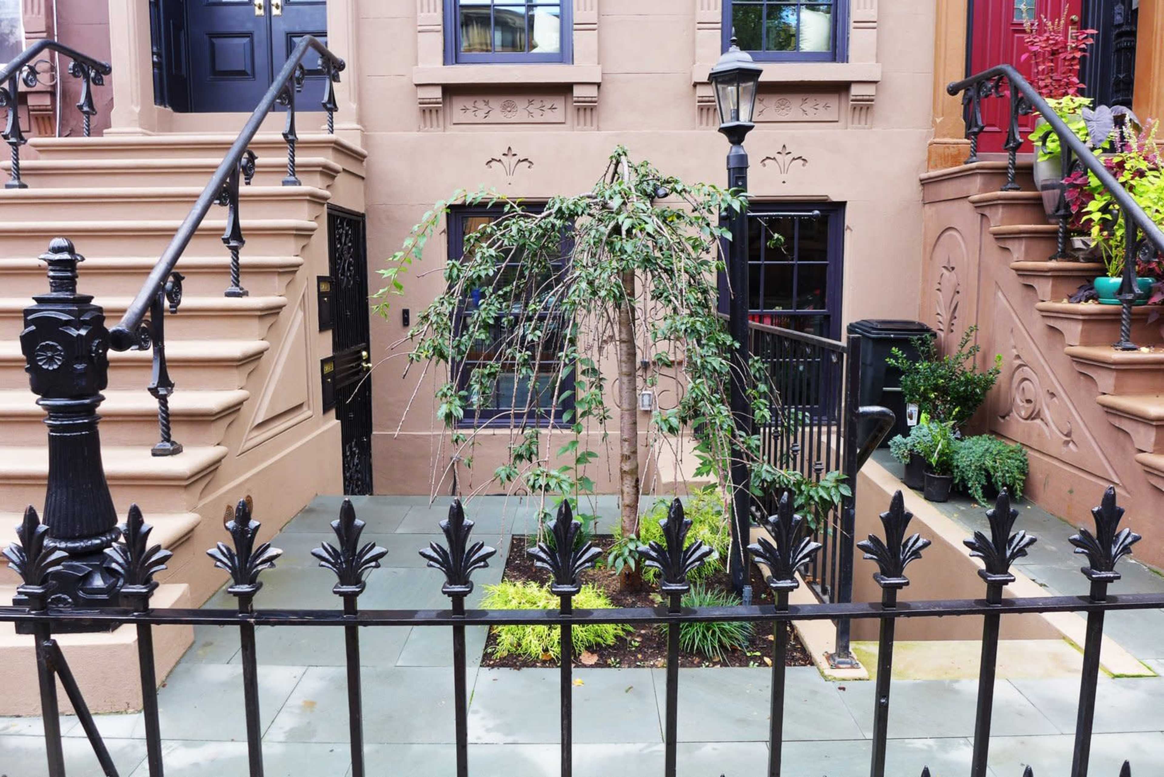 The image shows a well-maintained brownstone entrance with stone steps, a decorative iron fence, and a small landscaped area featuring a weeping tree and various plants.