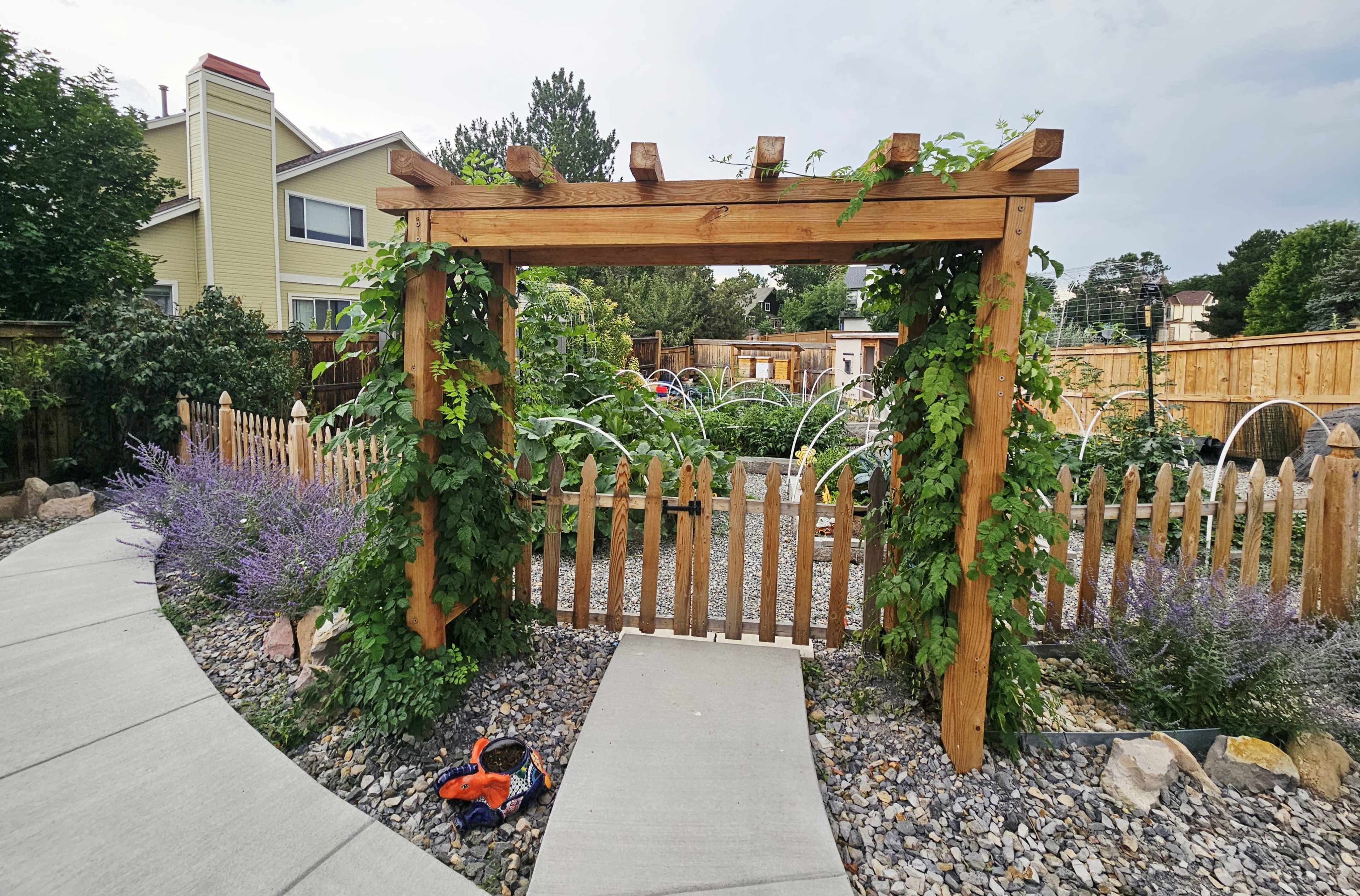A wooden garden arch covered with climbing plants leads to a landscaped vegetable garden, surrounded by a gravel pathway and a wooden fence.