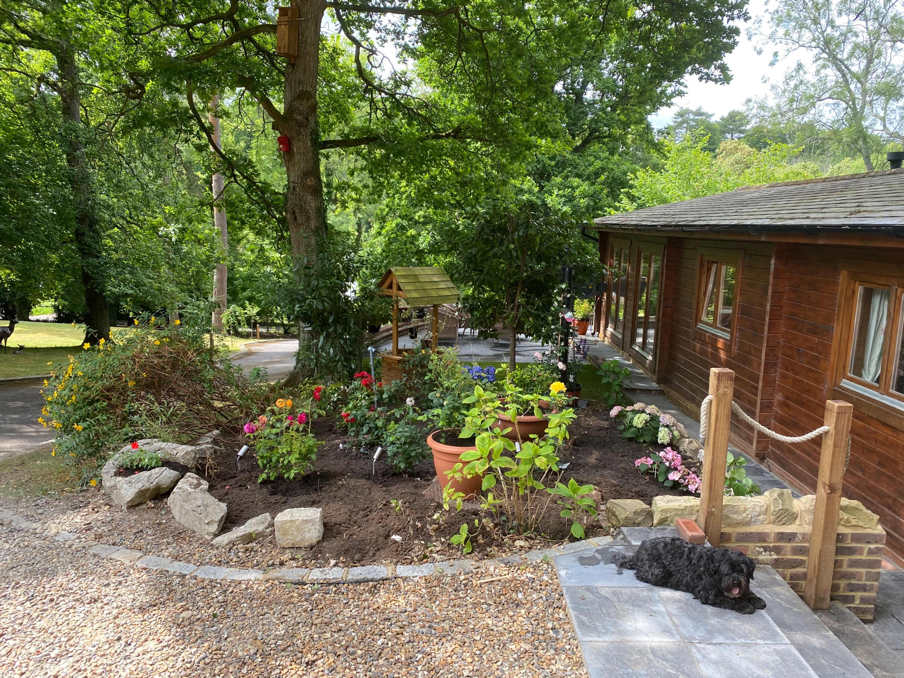 Private Dining , Pool, Photo shoots Image in East Horsley, East Horsley, ENG