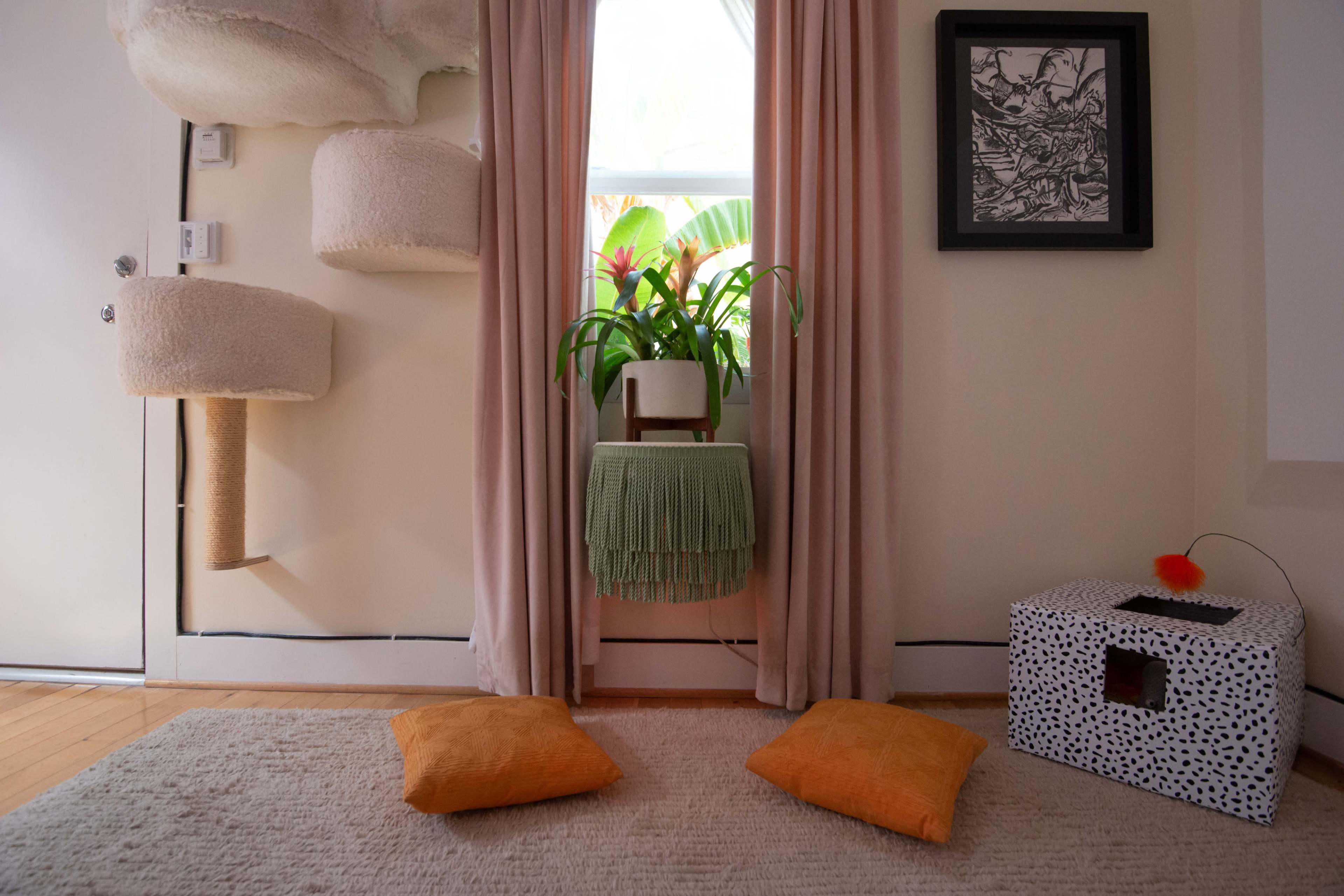 The image shows a cozy corner of a room with a cat tree, a plant on a stand, two orange cushions on the floor, and a box with a polka dot pattern.
