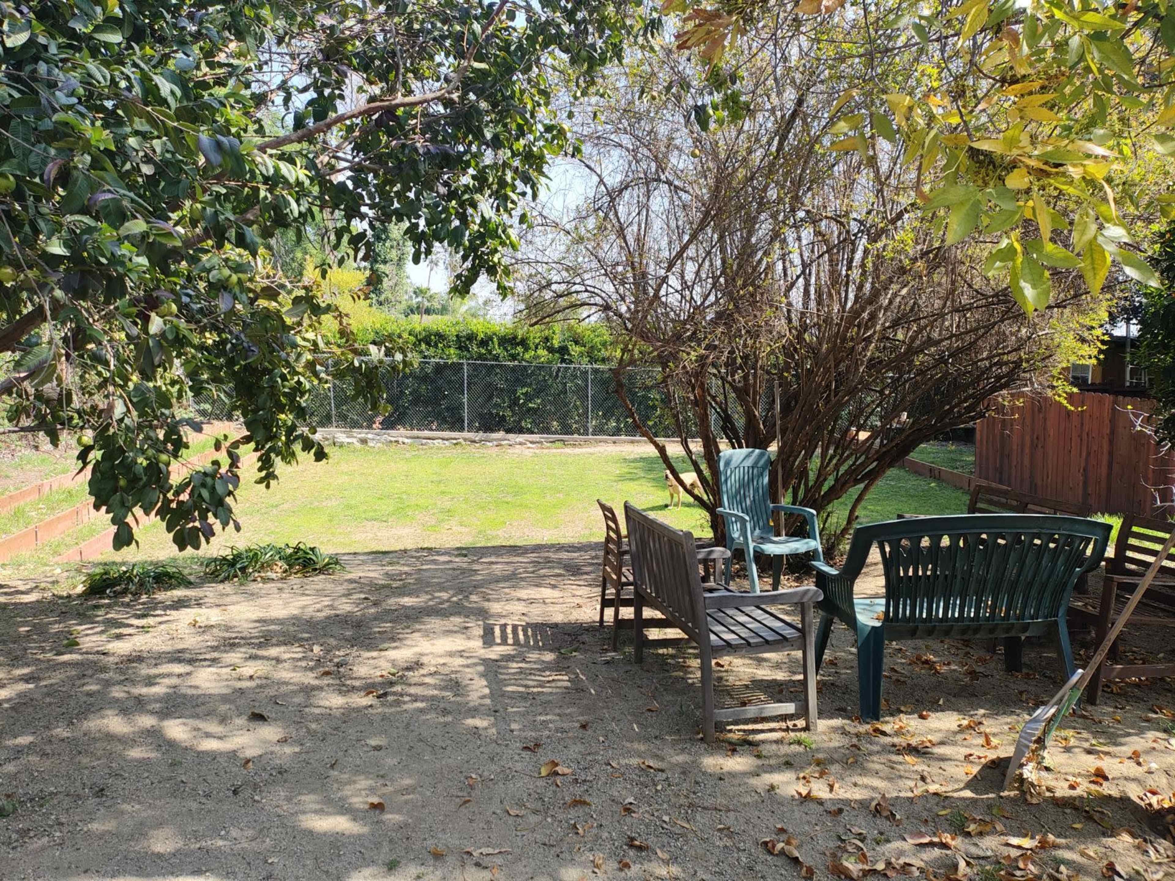 A shaded backyard features several chairs arranged near a patch of grass surrounded by trees and a fence.