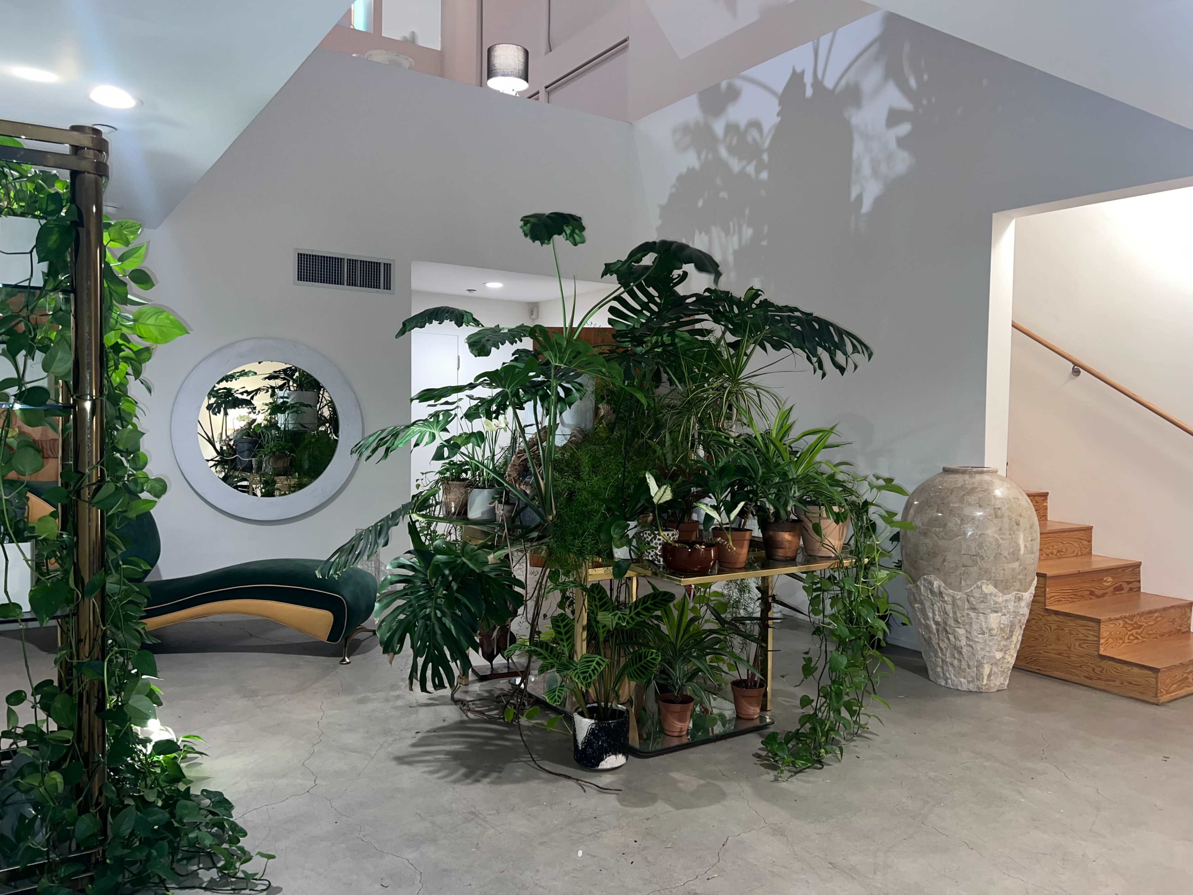 A modern indoor space featuring several plants arranged on a shelf, a decorative wall mirror, and a staircase made of wooden steps.