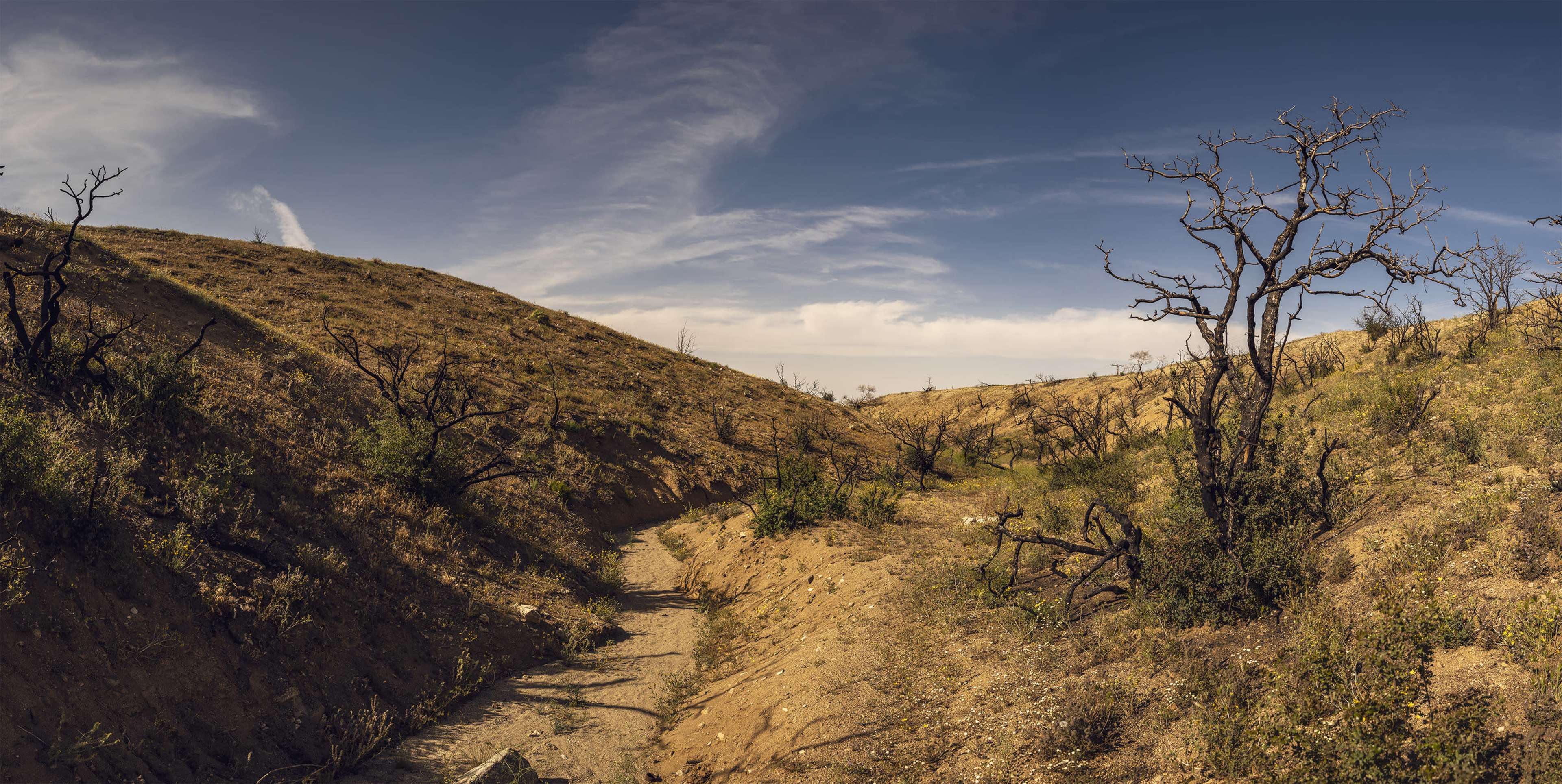 The image shows a dry, U-shaped valley with sparse vegetation and charred trees against a blue sky.