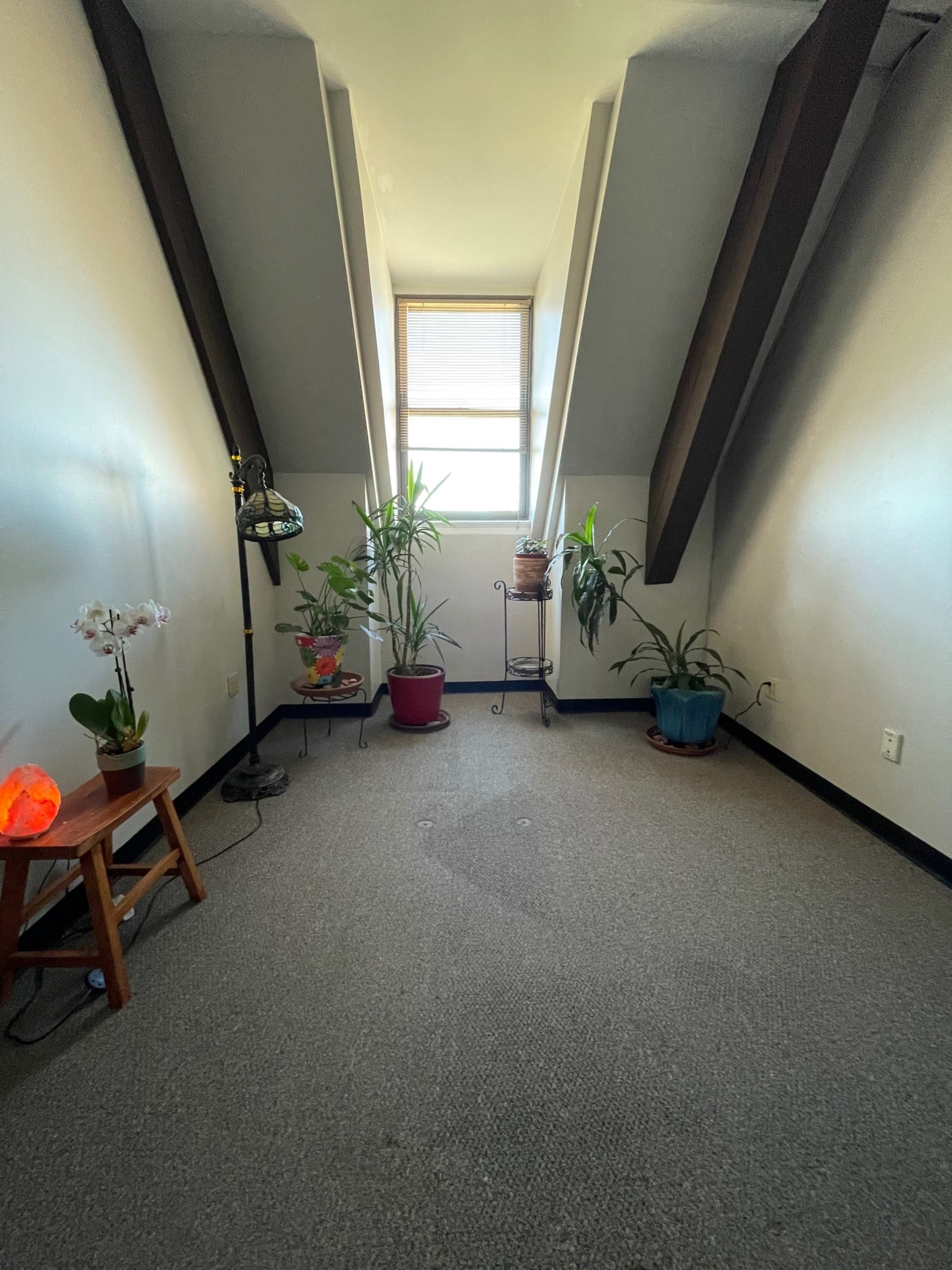 A small, brightly lit room with sloped ceilings, featuring potted plants, a small wooden stool, and a lamp.