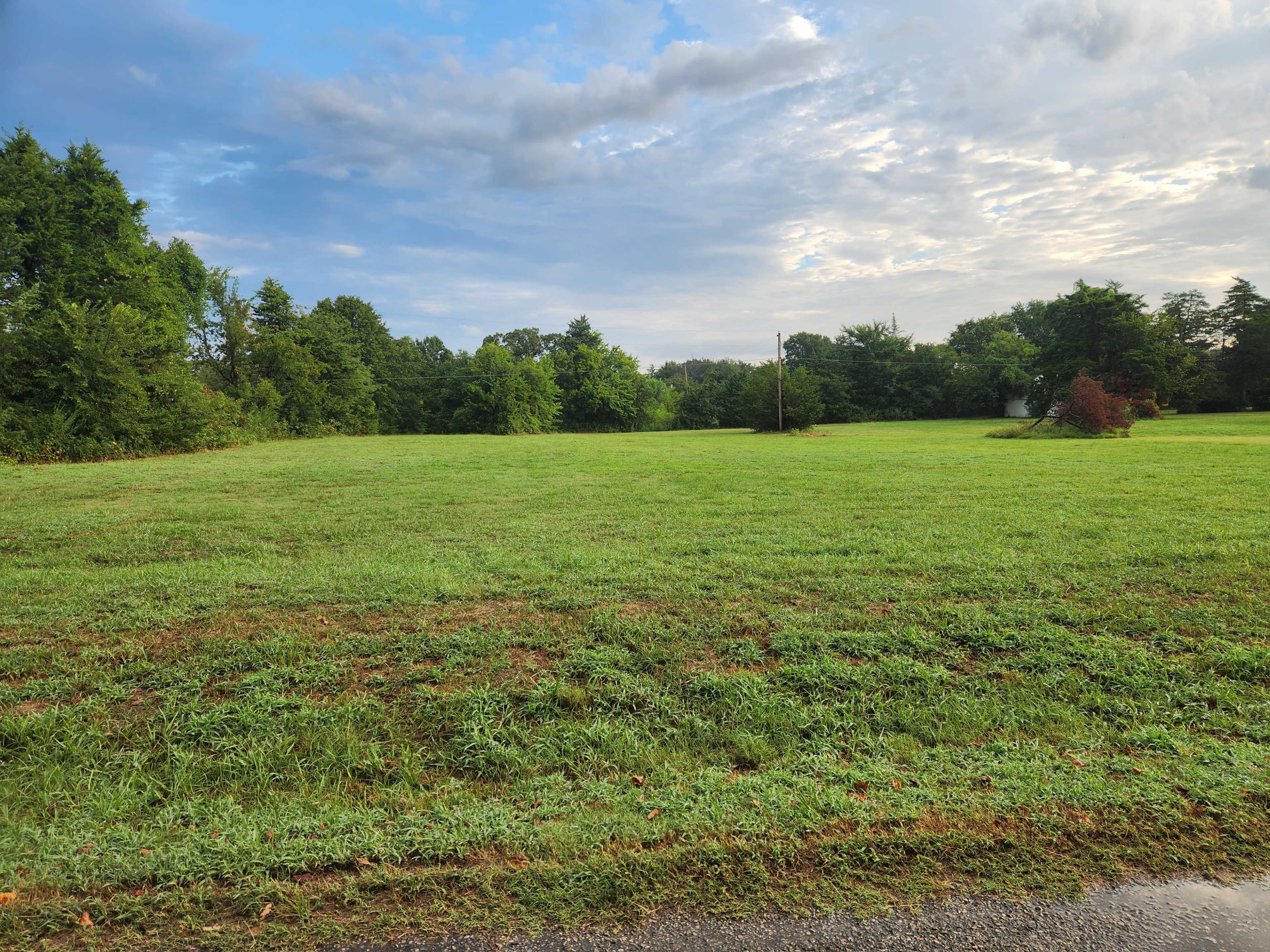 The image shows a broad, grassy field bordered by trees under a cloudy sky.