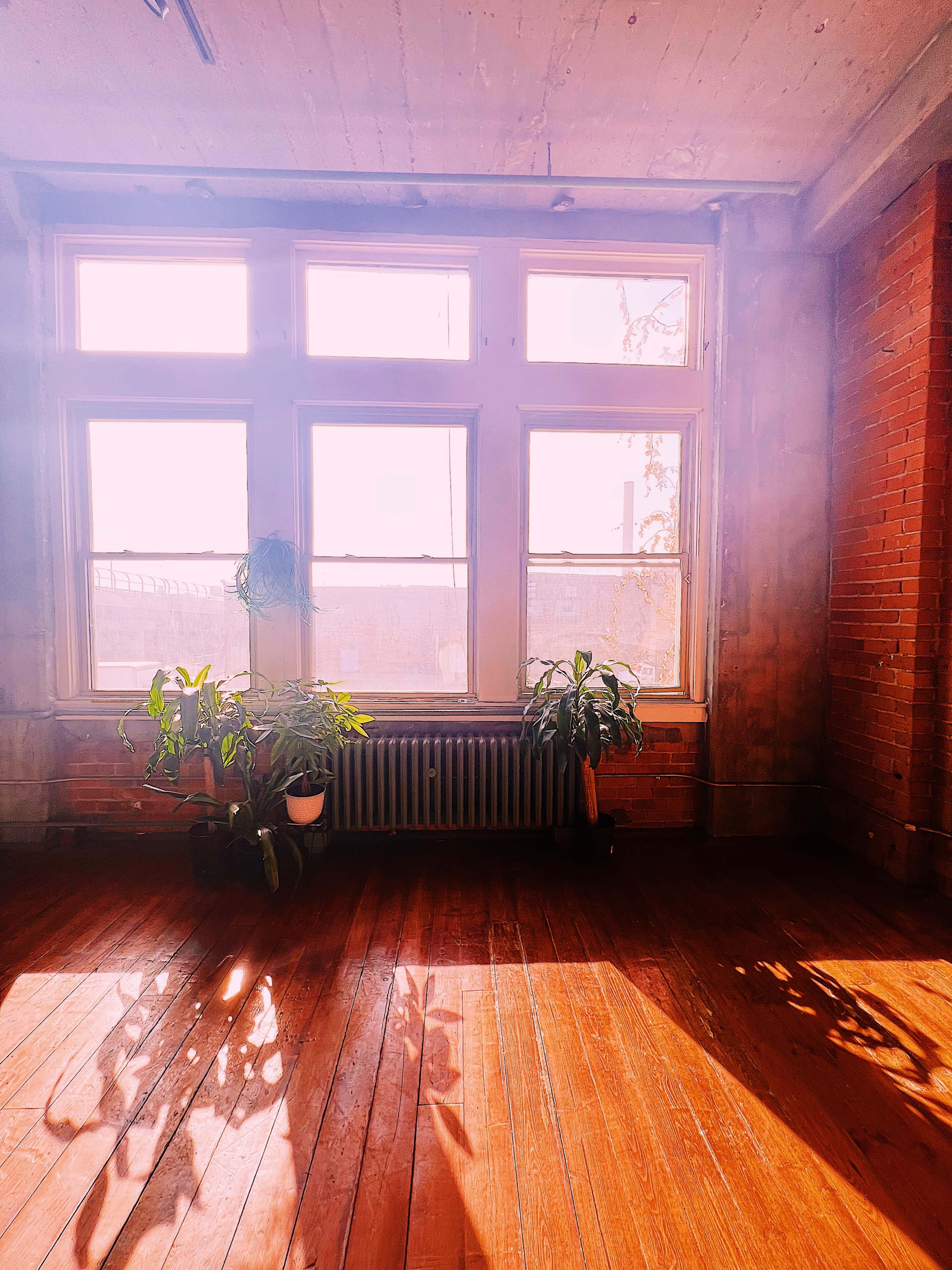 A bright, sunlit room with large windows, featuring several potted plants near a radiator and wooden flooring.