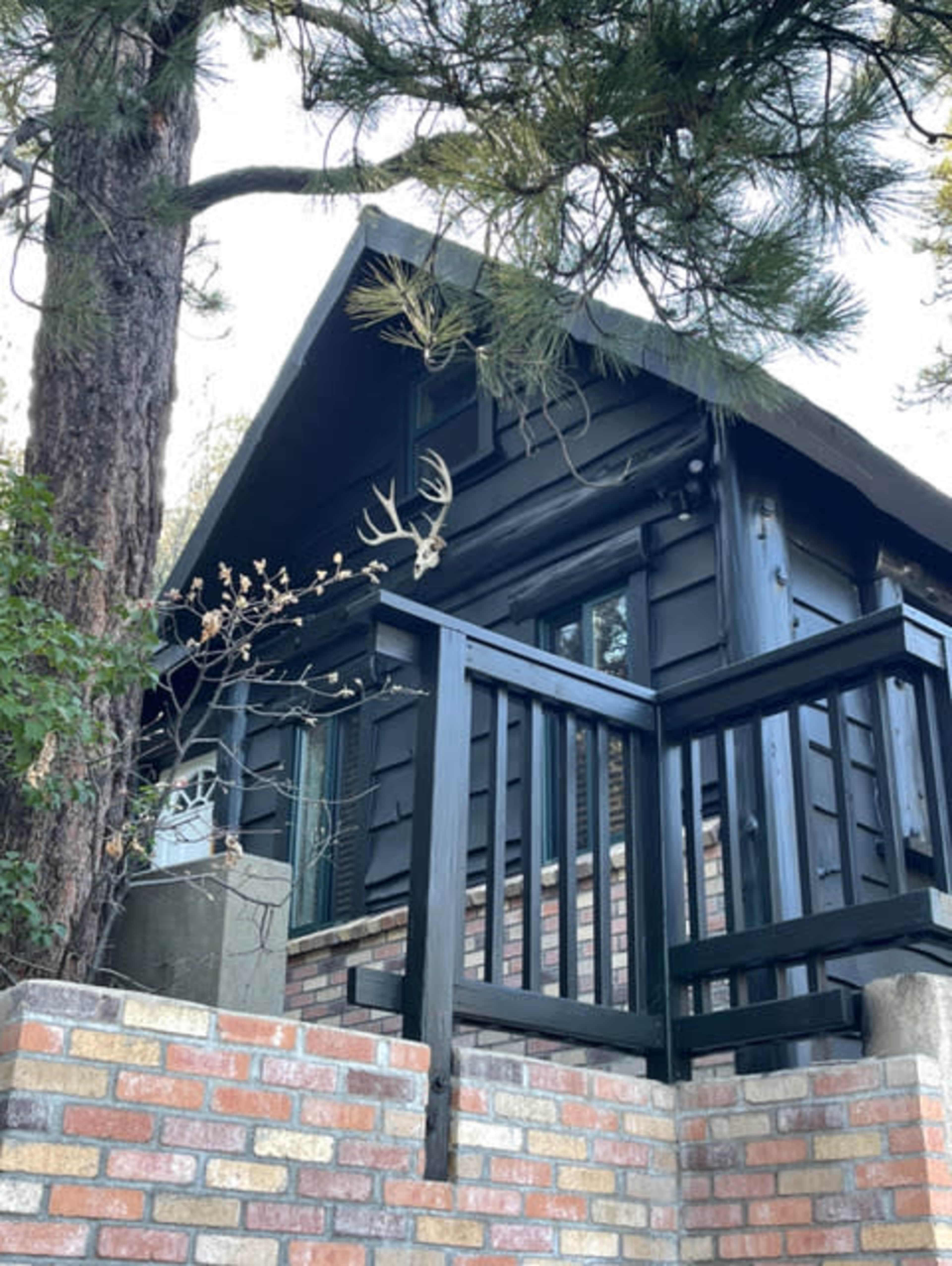 Magical Mountain Vintage Cabin Image in Running Springs, Running Springs, CA