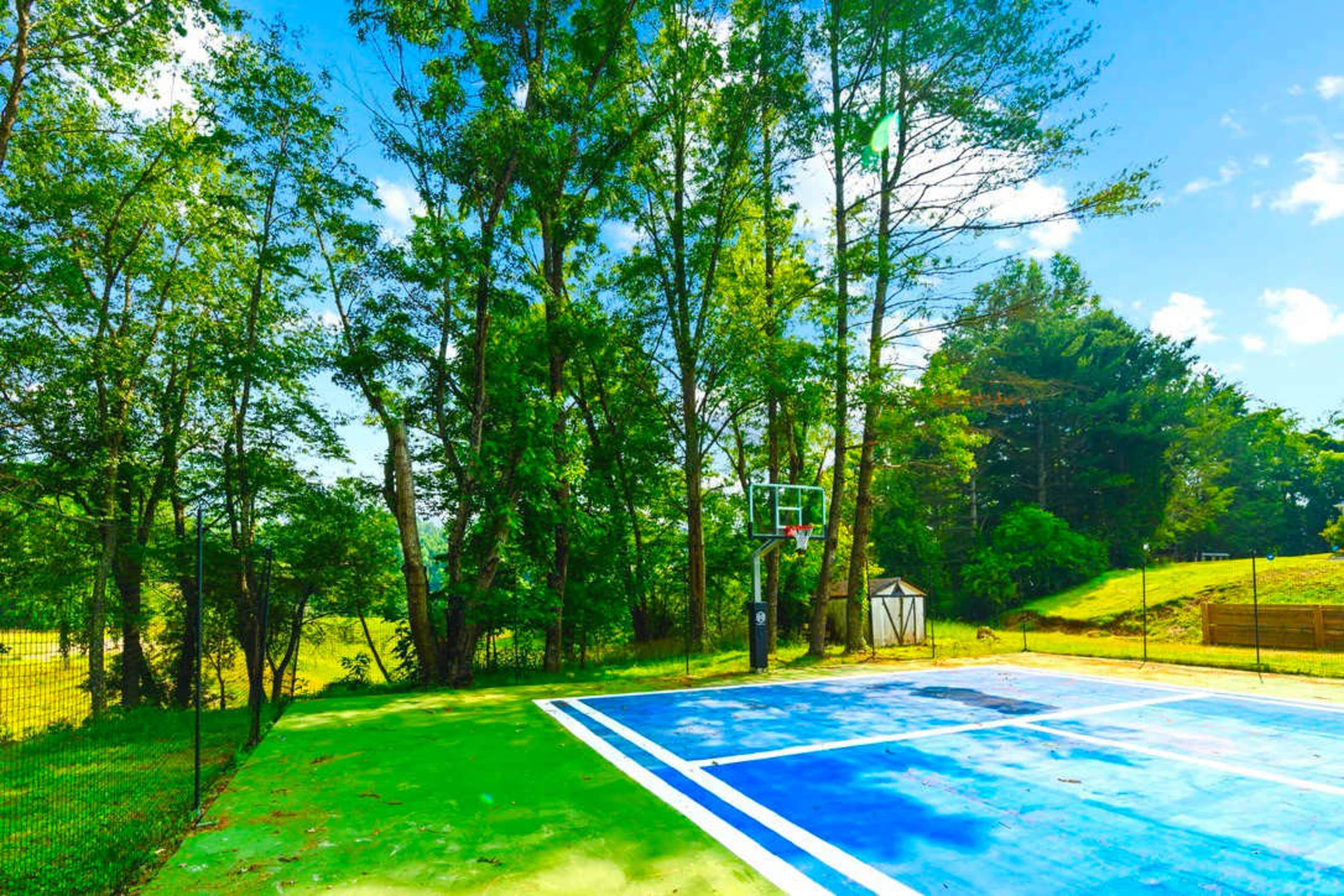 Gated Mansion - Basketball Court, Movie Theater, Acreage Image in , Big Stone Gap, VA