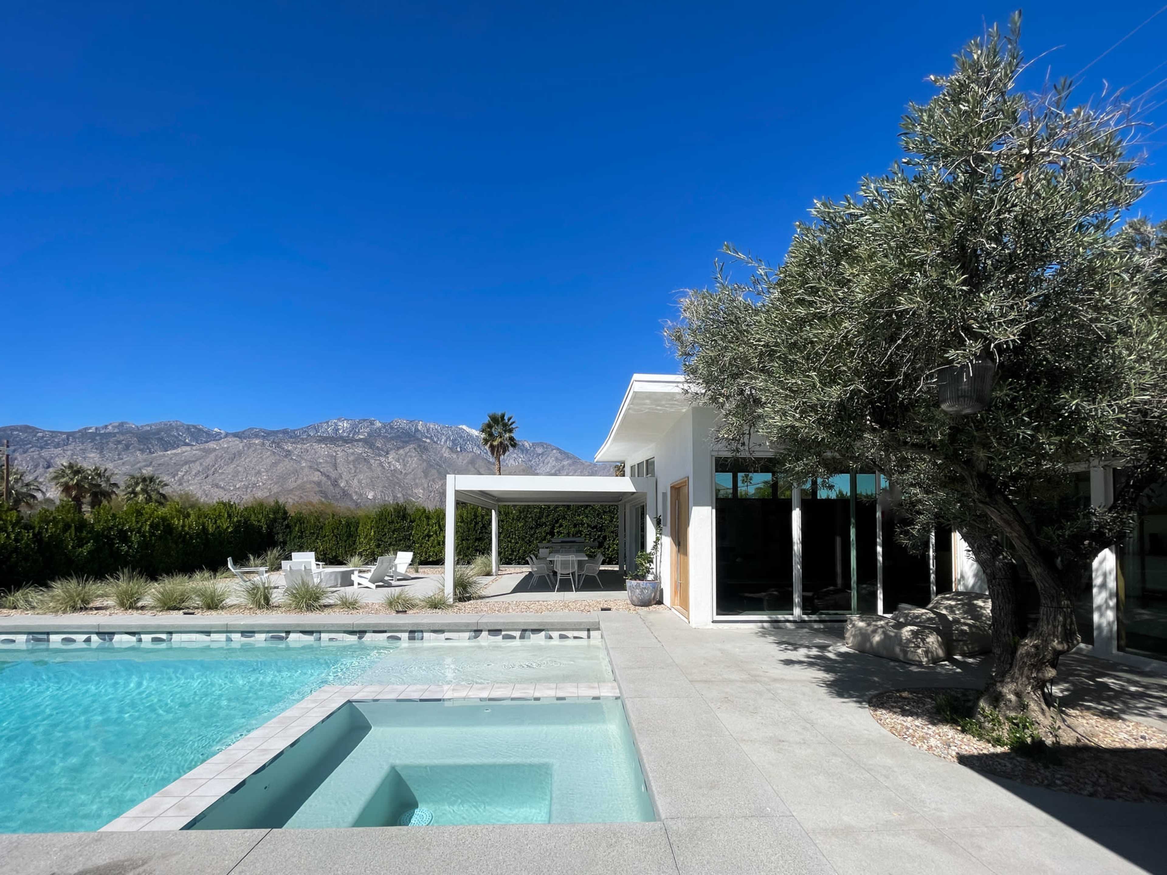 A modern home with a swimming pool and mountain views is surrounded by landscaped greenery and features an olive tree.