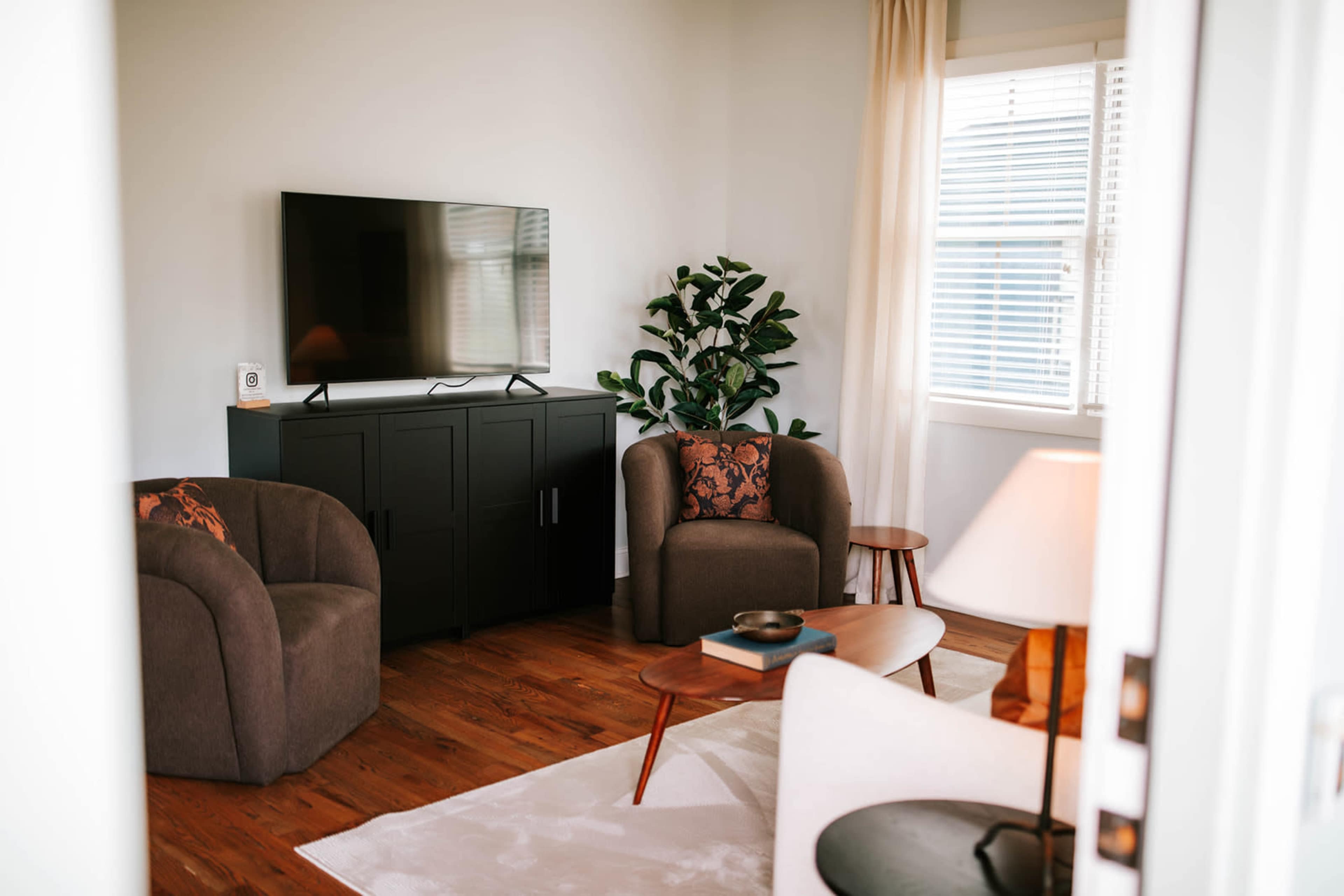 The image shows a cozy living room with two brown armchairs, a dark cabinet containing a television, a potted plant, and a coffee table on a light rug.