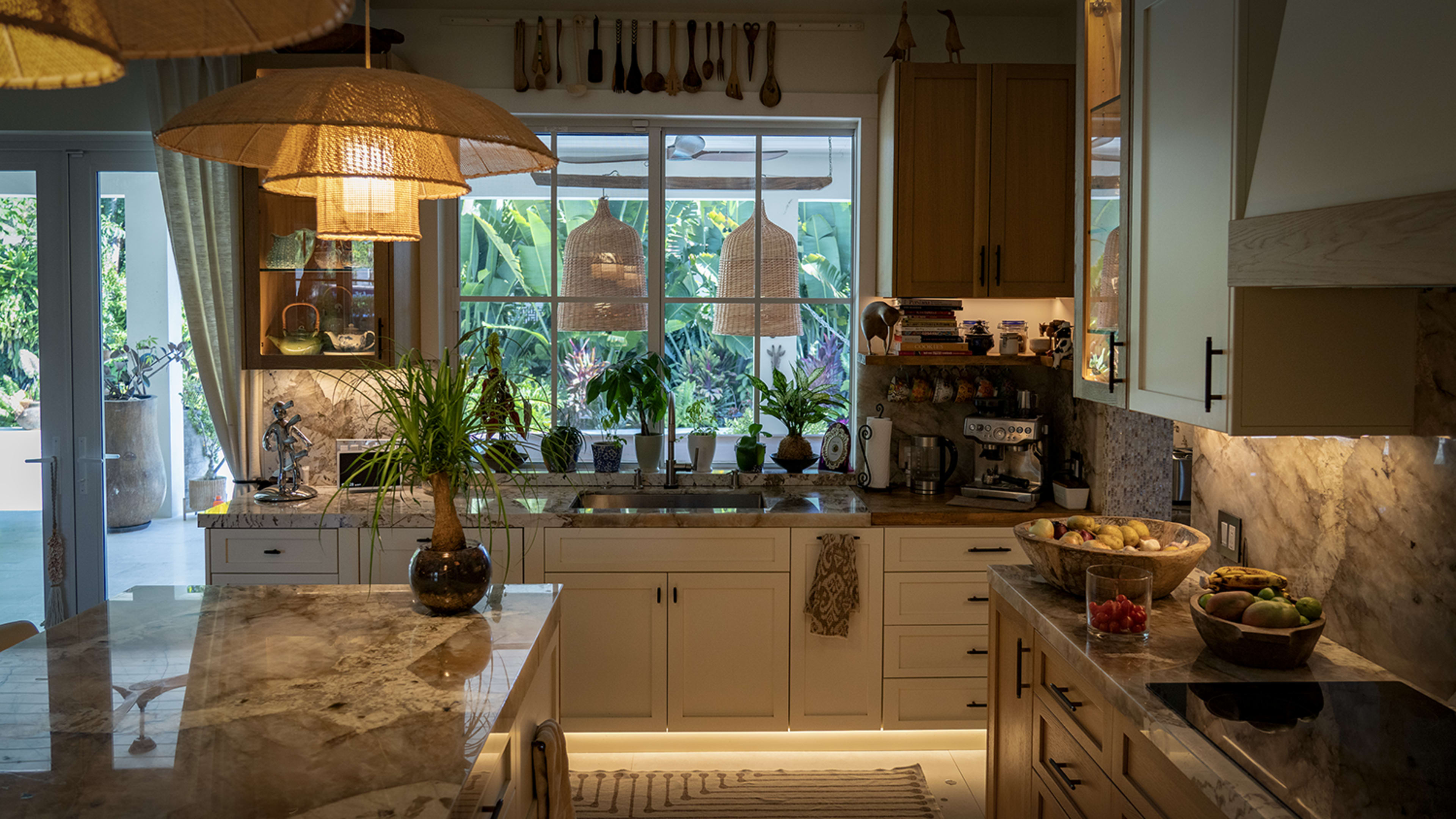 Artist's Home in a Stunning Tropical Garden Image in South Miami, South Miami, FL