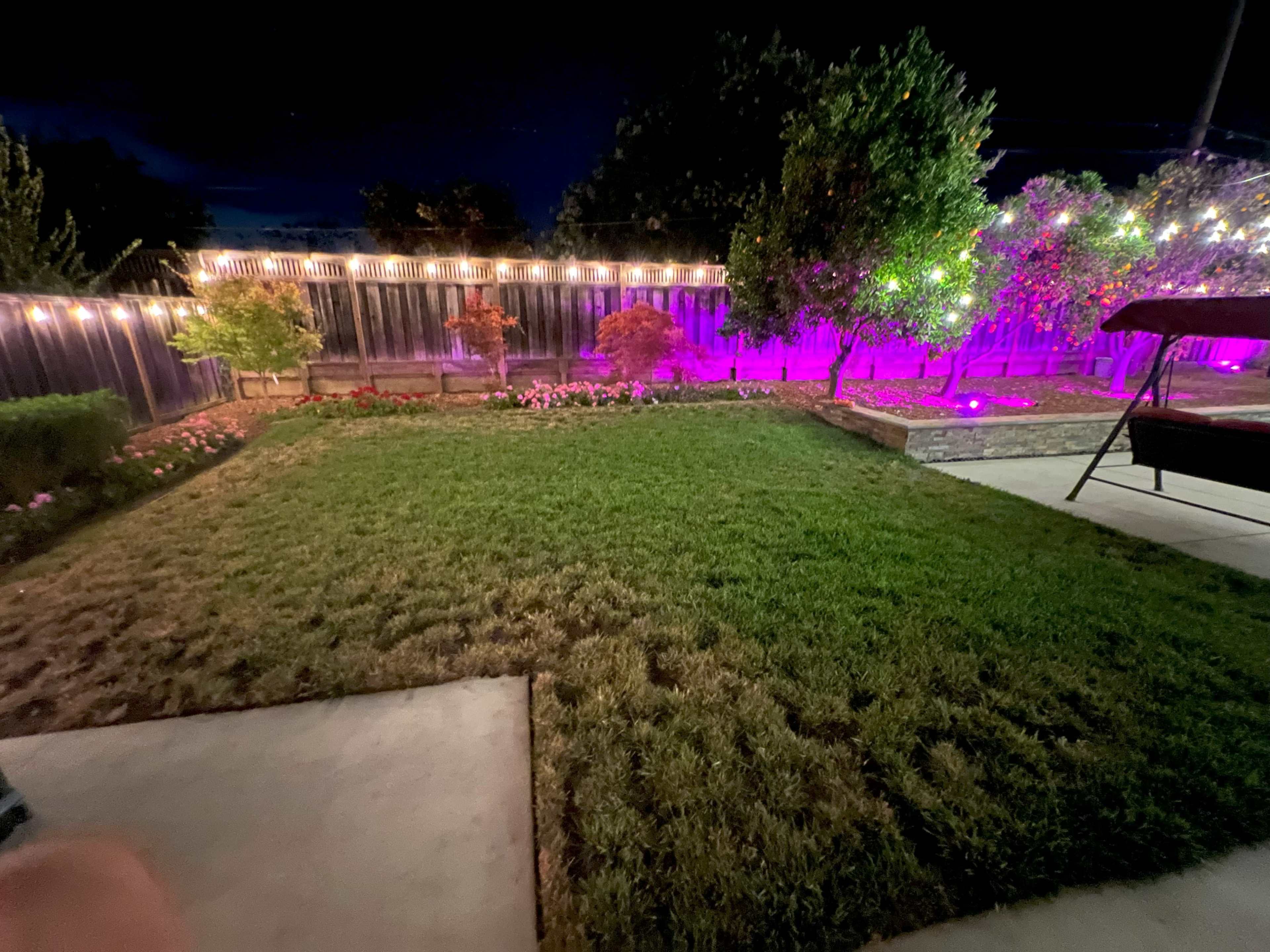 The backyard features a well-manicured lawn surrounded by illuminated trees and flower beds at night.