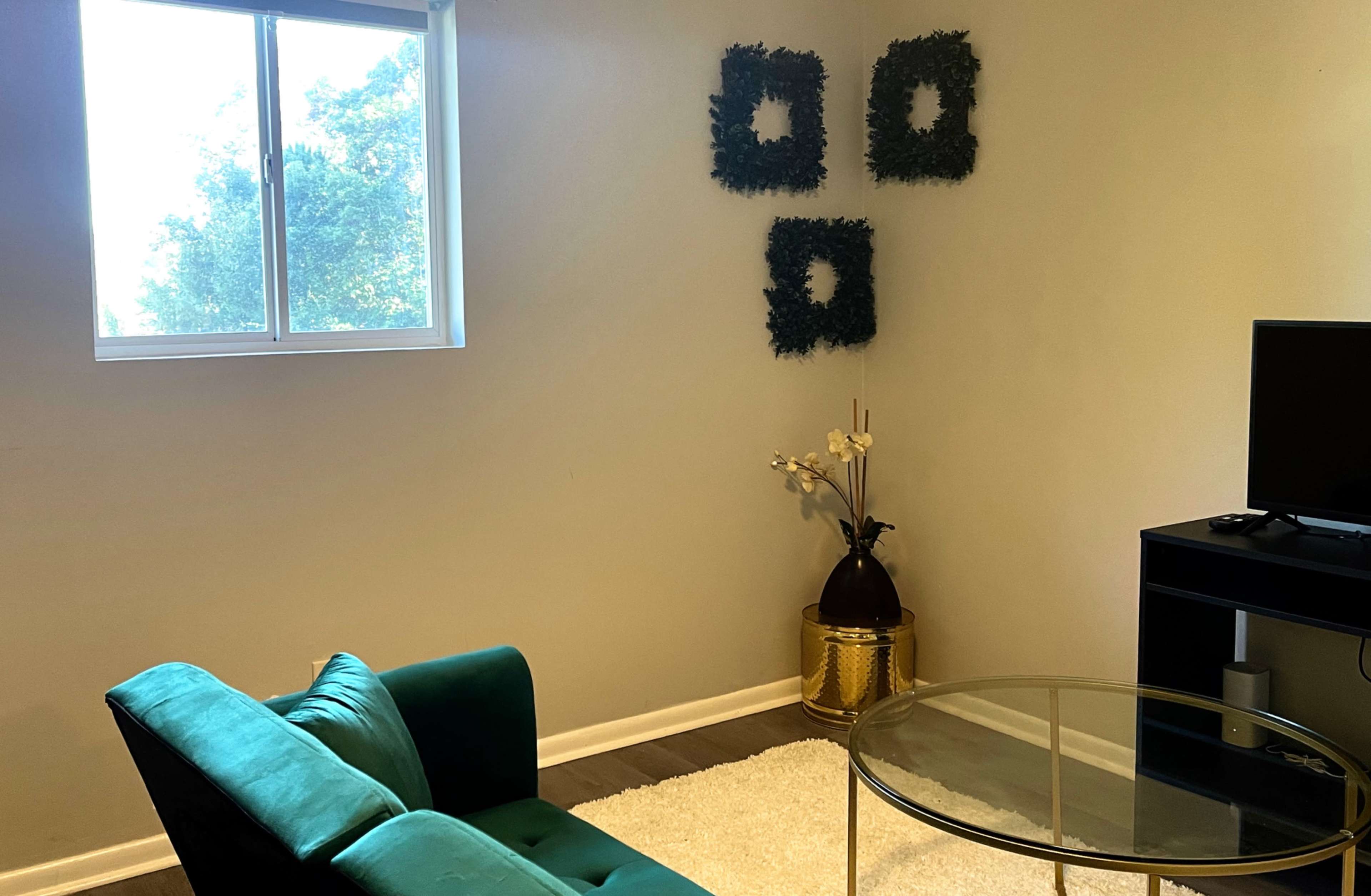 A living room corner with a green armchair, a glass coffee table, and decorative wall accents above a plant in a black vase.