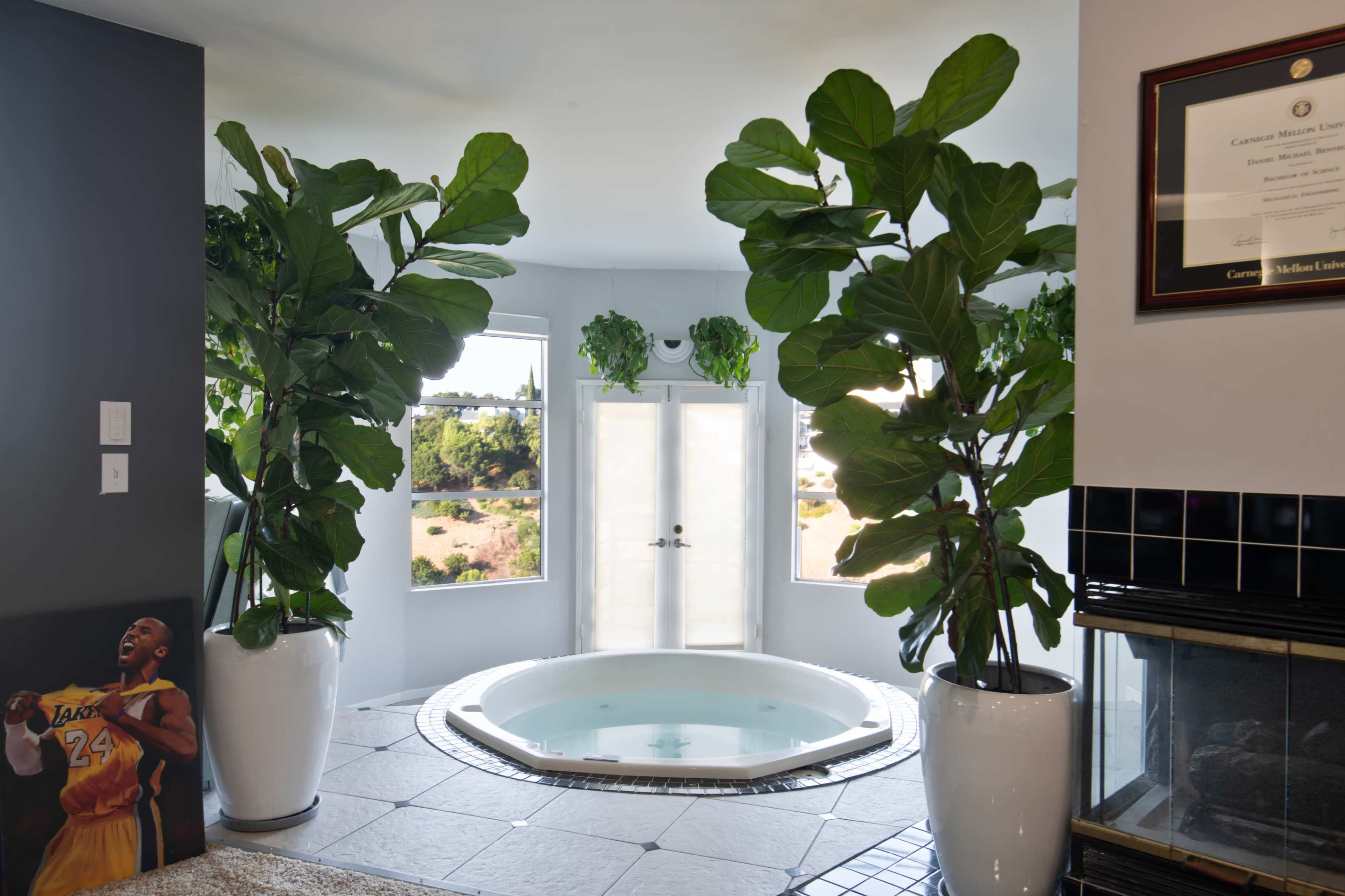 The image shows a bright room featuring a circular hot tub surrounded by large potted plants and windows, with a framed certificate on the wall.