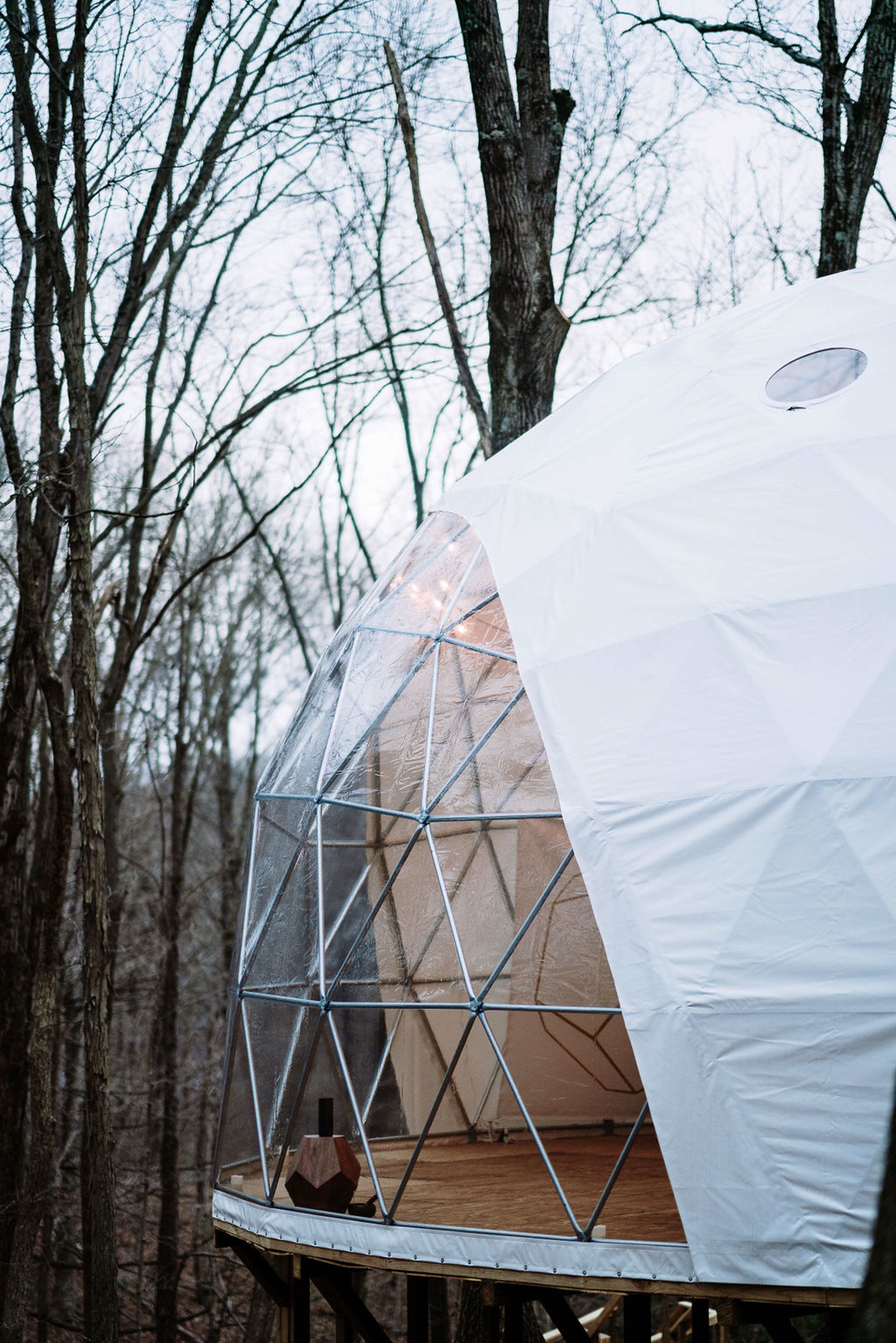 A geodesic dome structure with a transparent facade is set among bare trees in a forest.