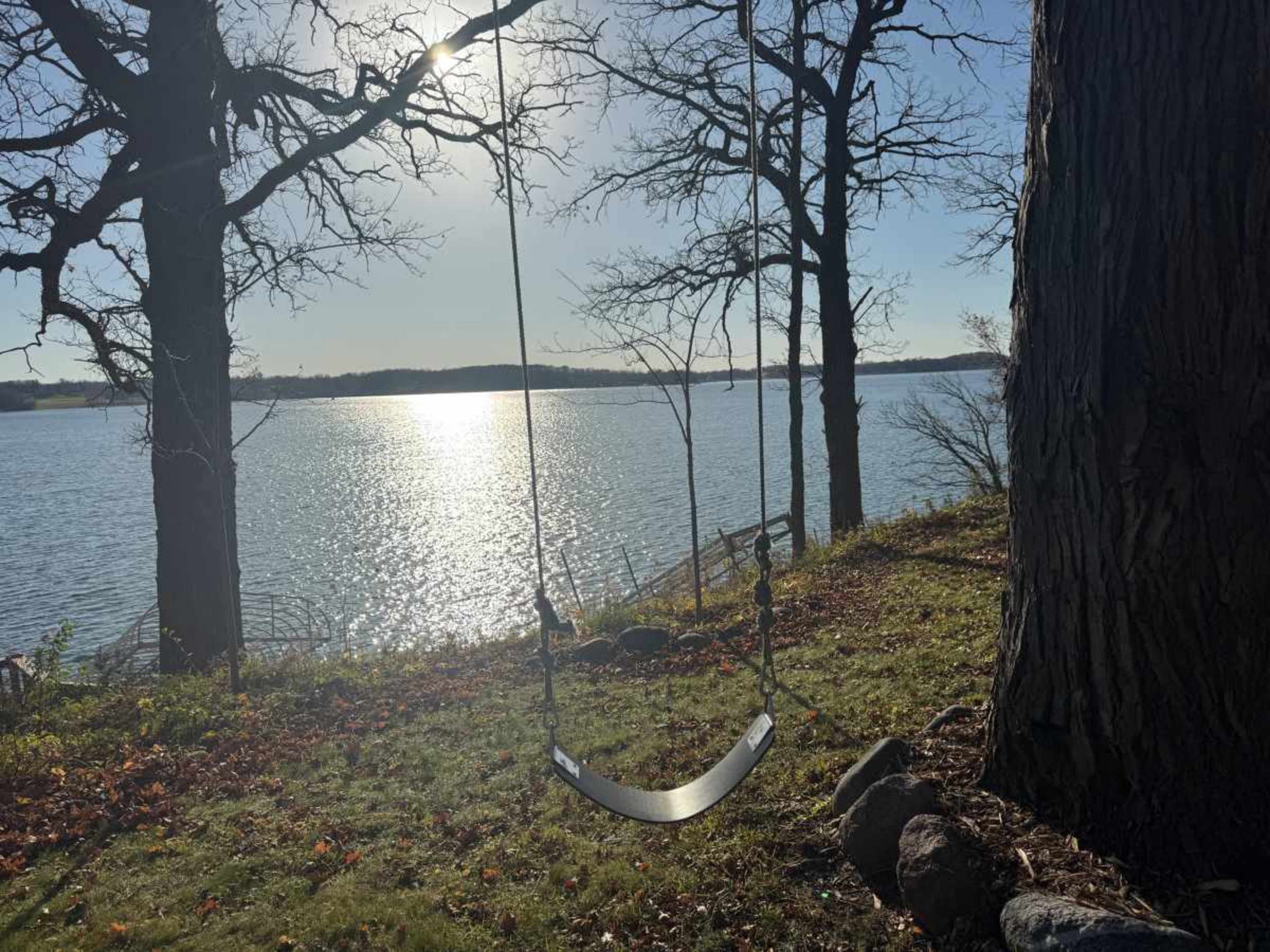 A swing hangs from a tree overlooking a shimmering lake on a sunny day.
