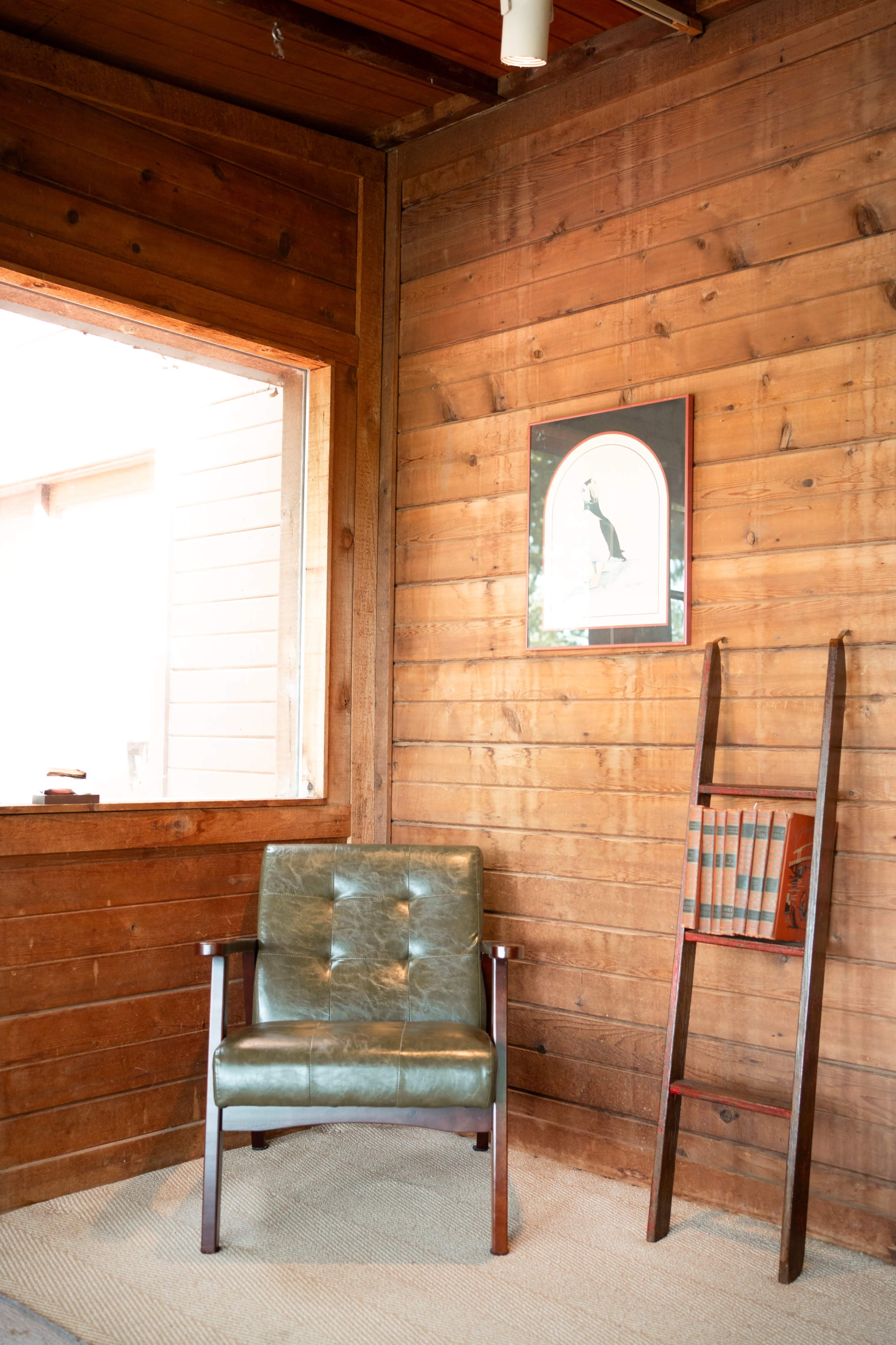 The image shows a corner of a room with a green leather armchair next to a wooden ladder displaying books, set against a wall of wooden paneling.
