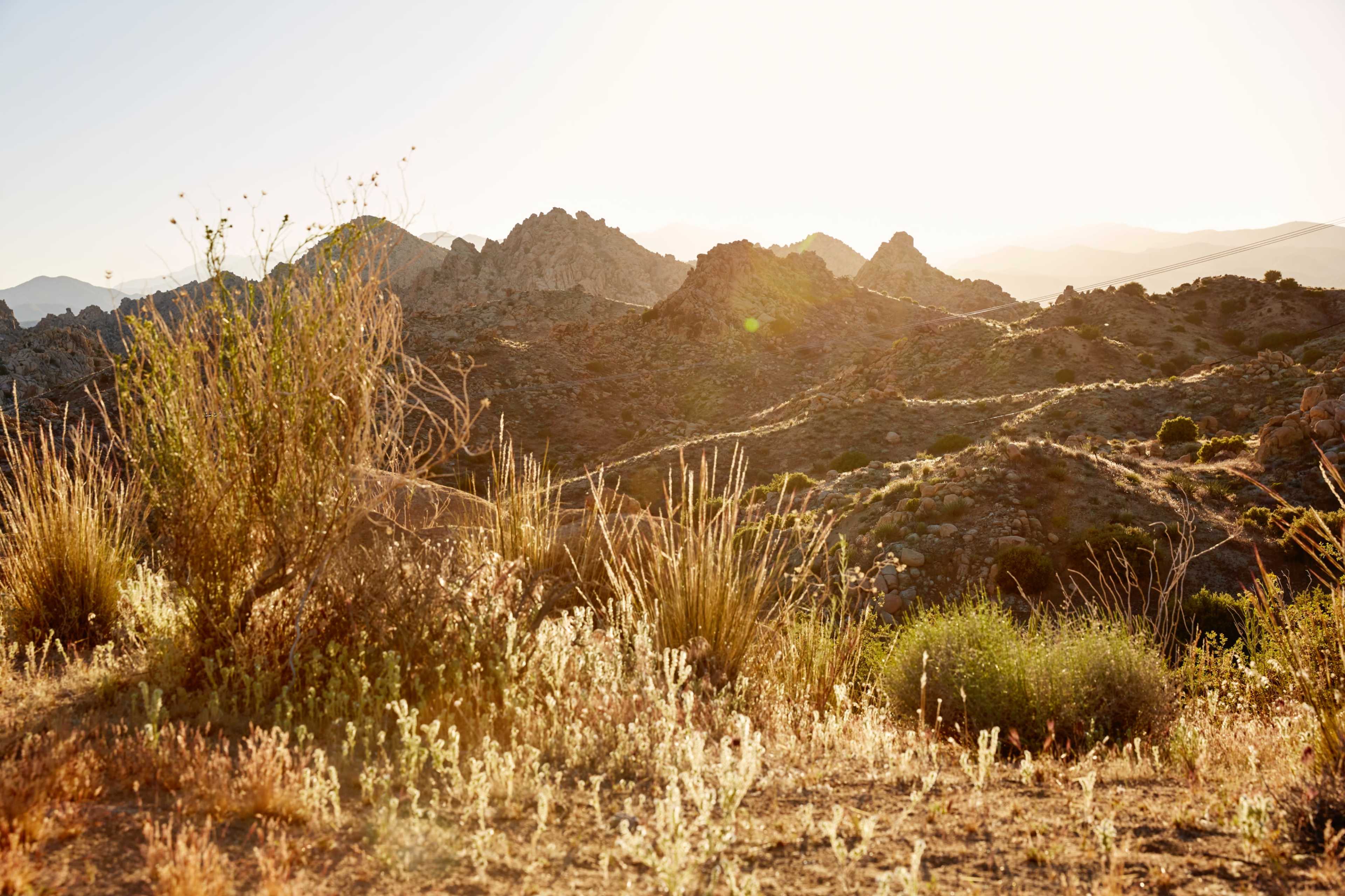 A rugged desert landscape with rocky formations and sparse vegetation under a bright sun.