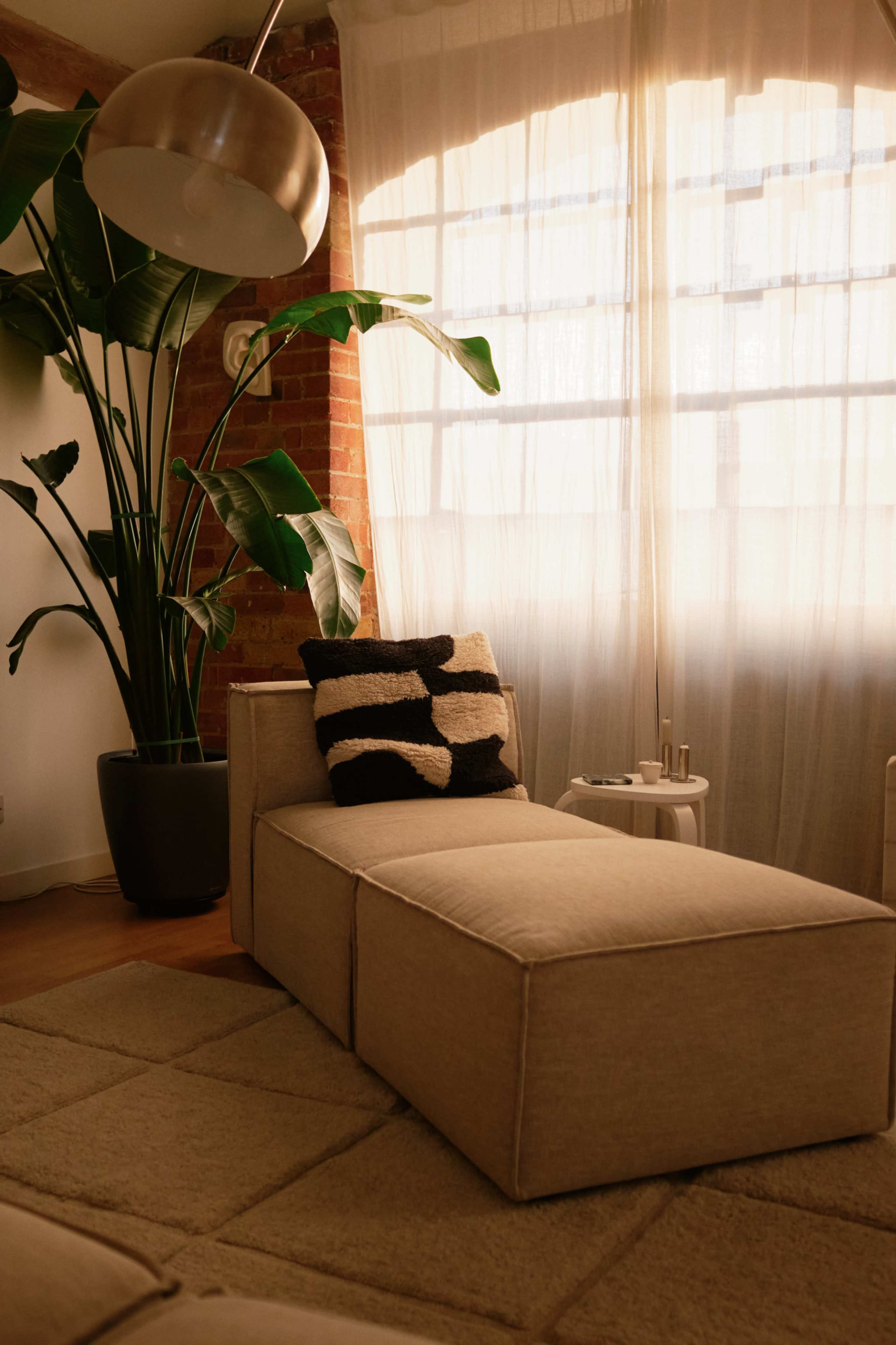 The image depicts a modern lounge area with a beige sectional sofa, a plant in a large pot, and a small side table under soft natural light filtering through sheer curtains.