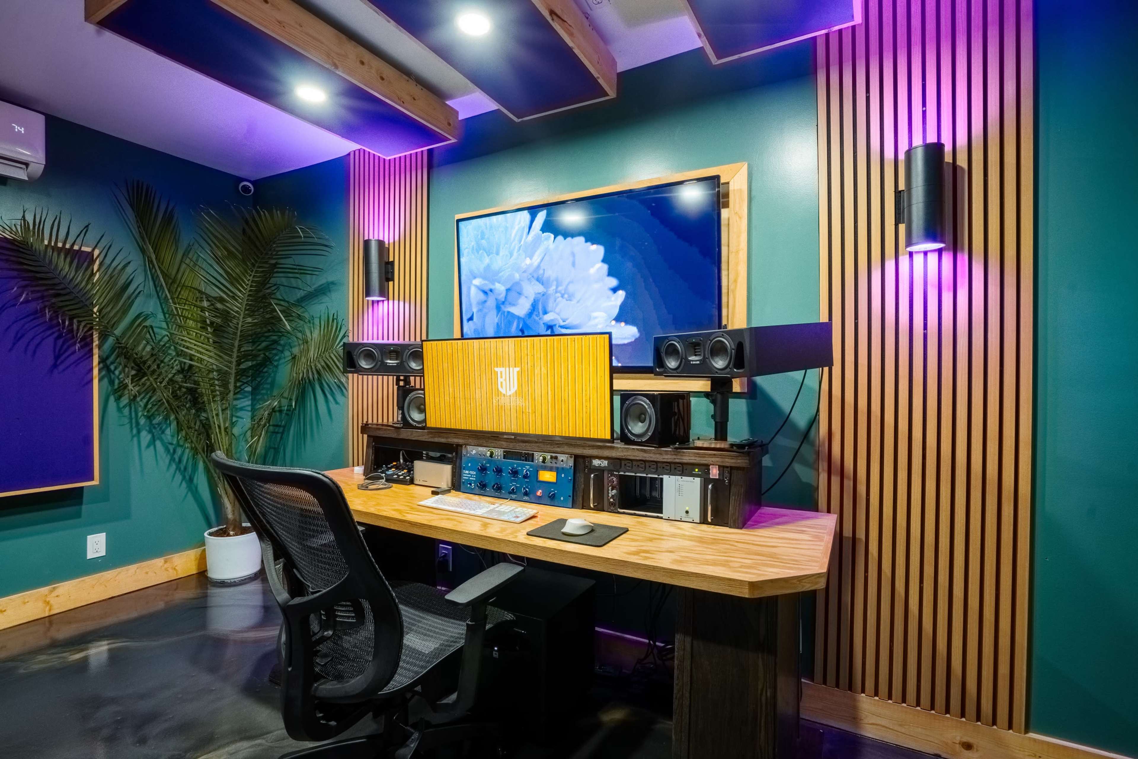 The image shows a modern music recording studio featuring a wooden desk with audio equipment and a large screen mounted on the wall, surrounded by plants and decorative lighting.