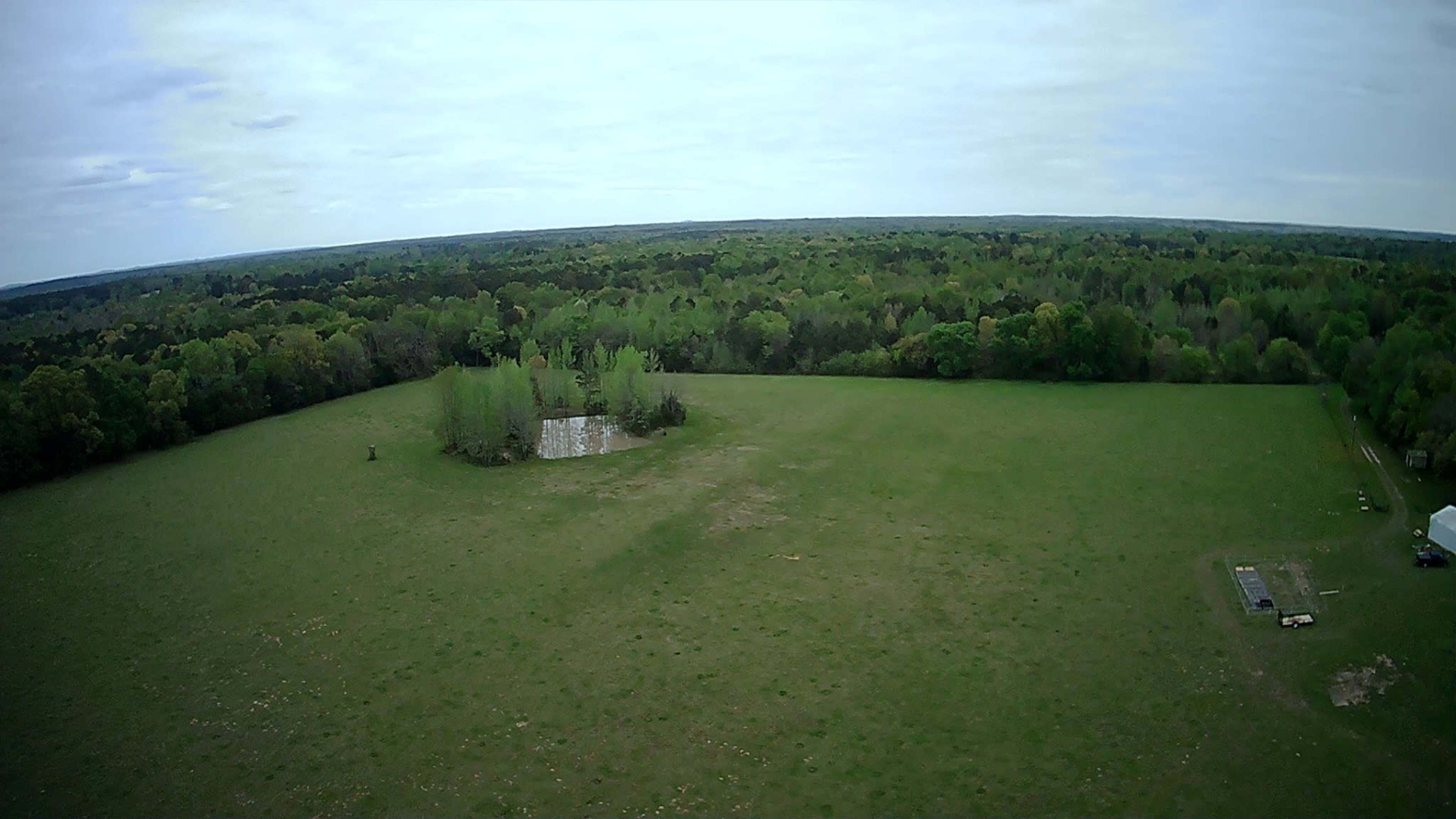 A wide view of a grassy field surrounded by trees, featuring a small cluster of trees with standing water nearby.