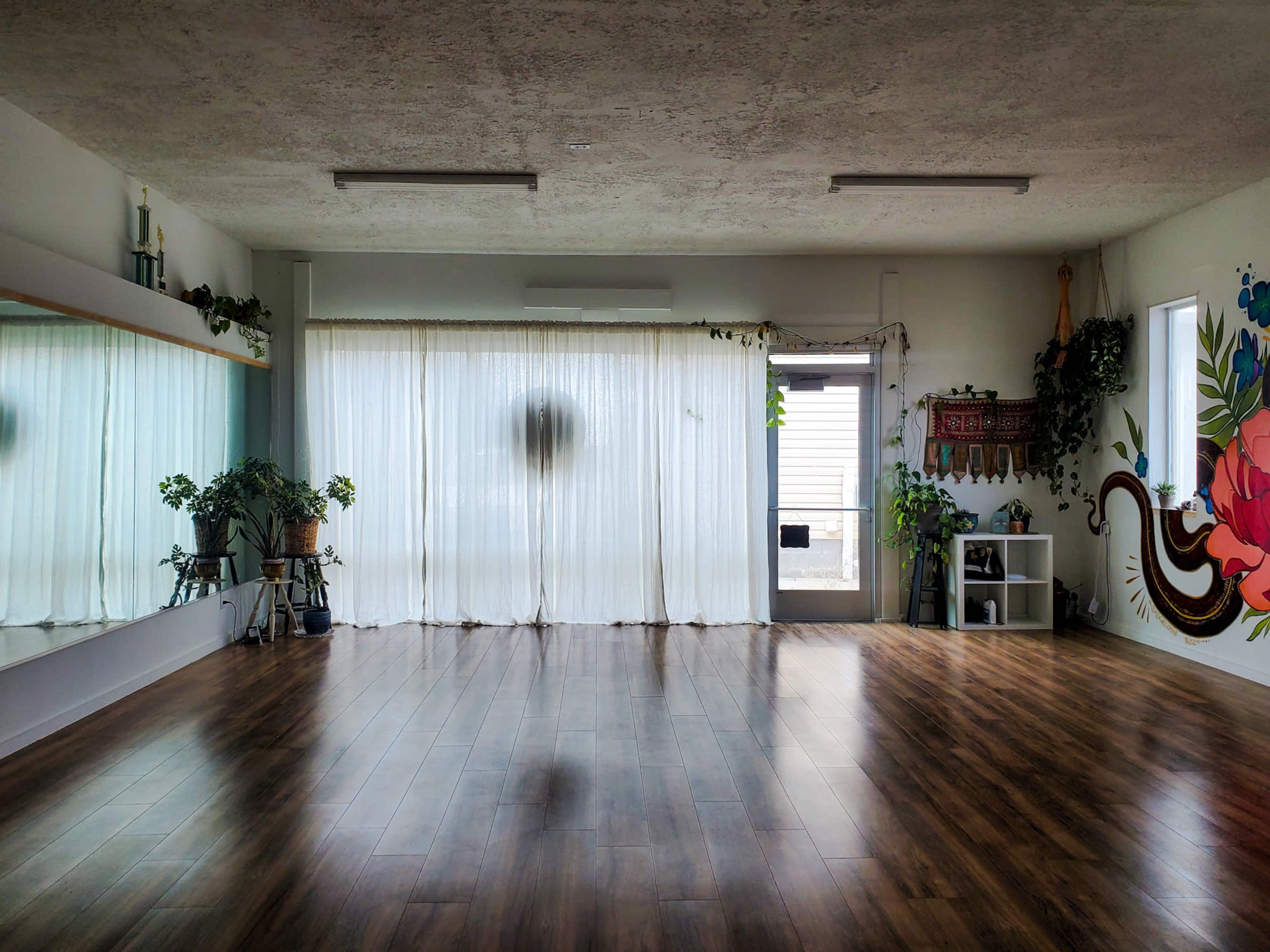 An empty room with wooden flooring, large windows covered by sheer curtains, and greenery along the walls.