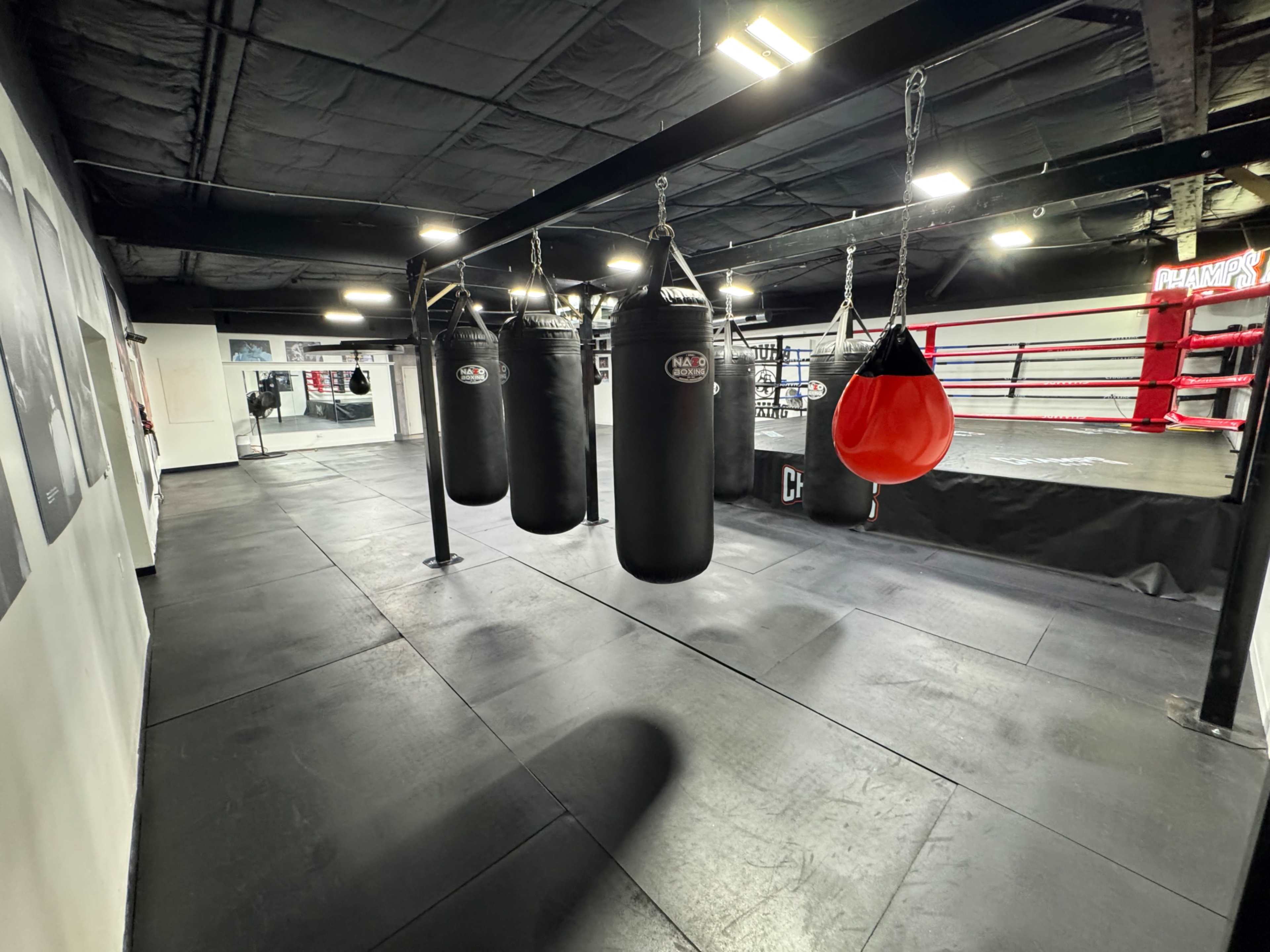 Urban Boxing Gym with Ring and Equiptment, industrial area with a raw feel. Image in South Salt Lake, Salt Lake City, UT