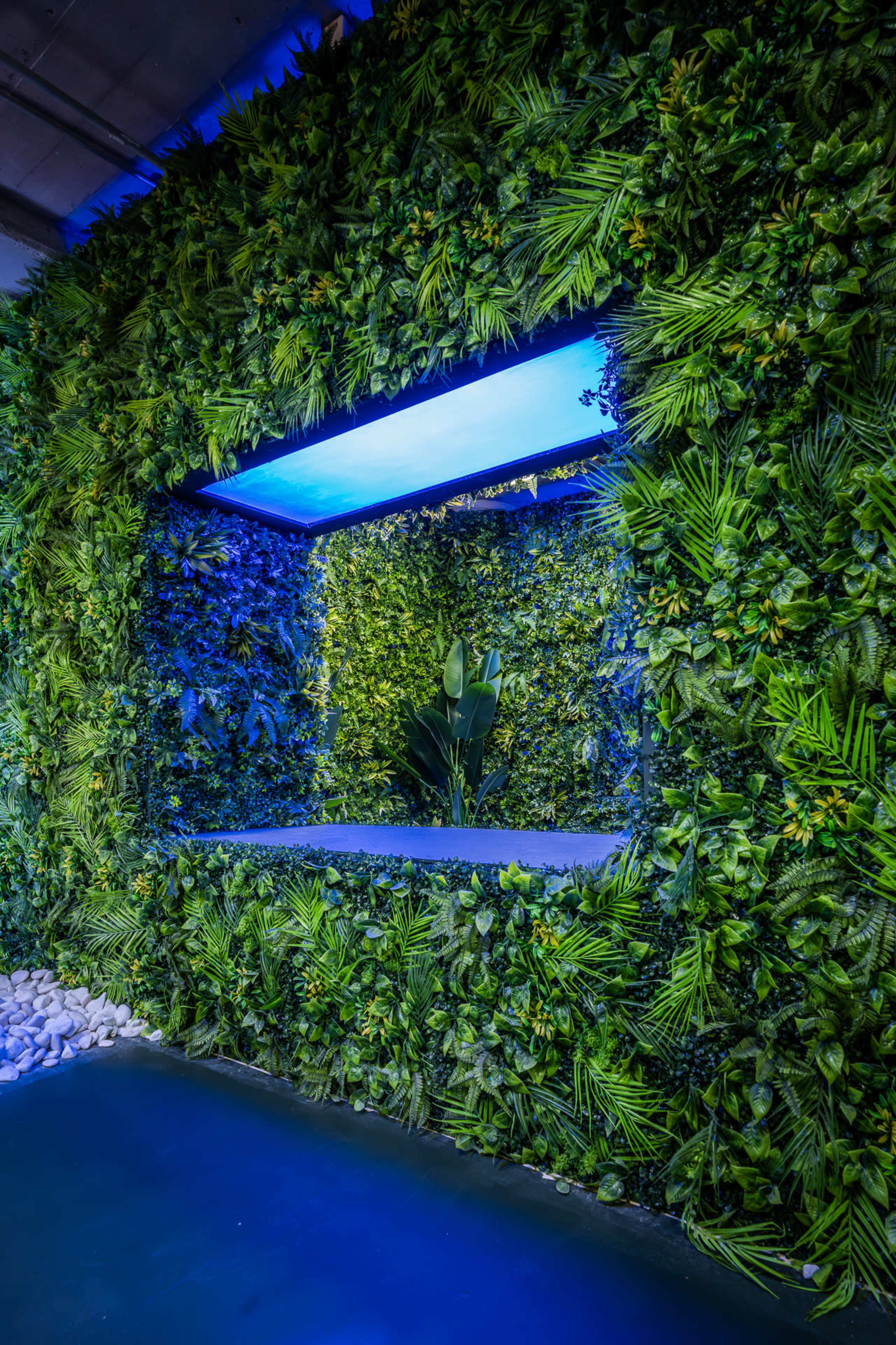 The Jungle | Creative Photo & Video Studio Image in Austin, Chicago, IL