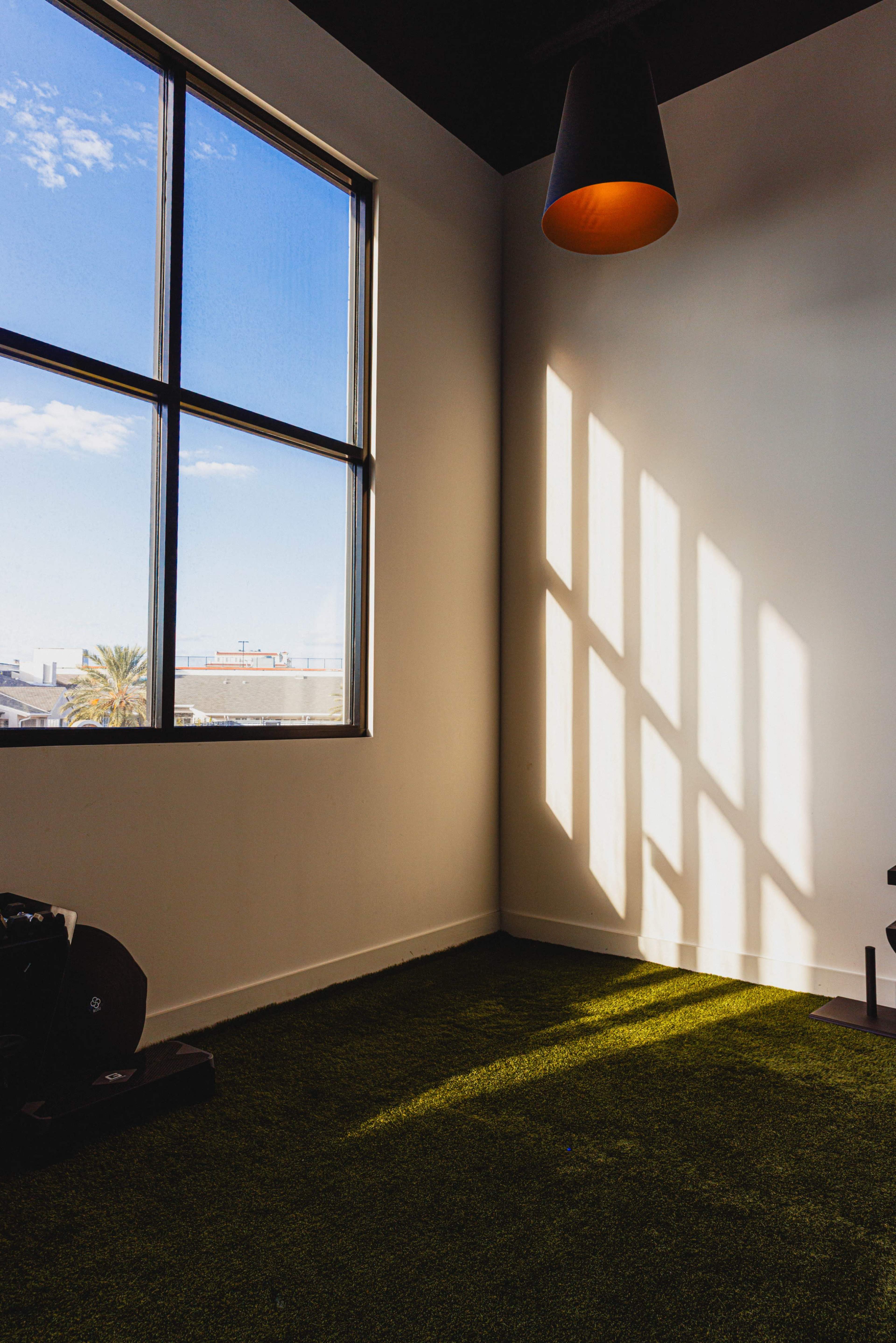 The image shows a corner of a room with artificial grass flooring, a large window letting in sunlight, and shadows cast on the wall.