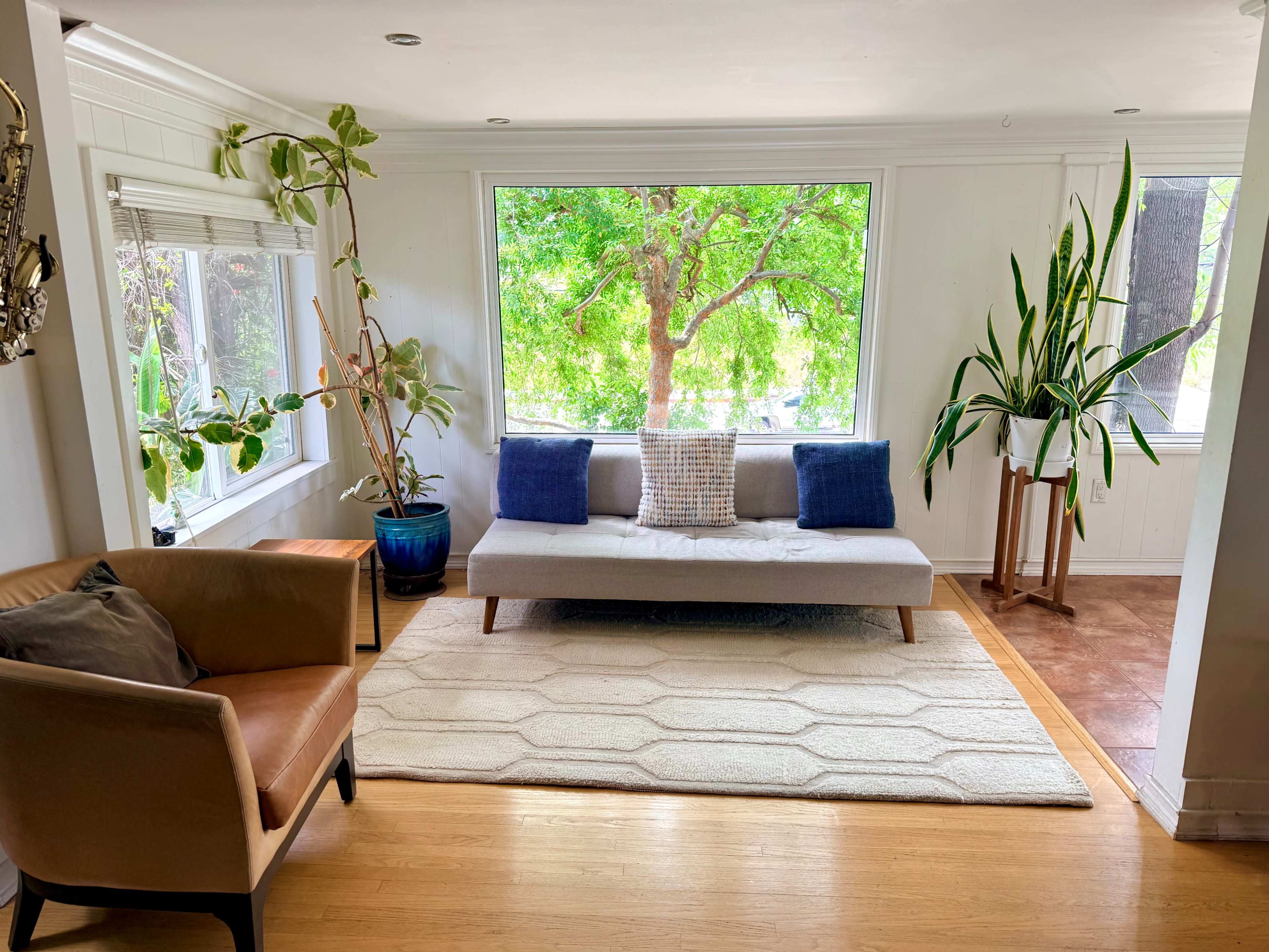 The image shows a bright living room with a large window framing a view of green trees, a light-colored couch, a brown armchair, and a textured rug.