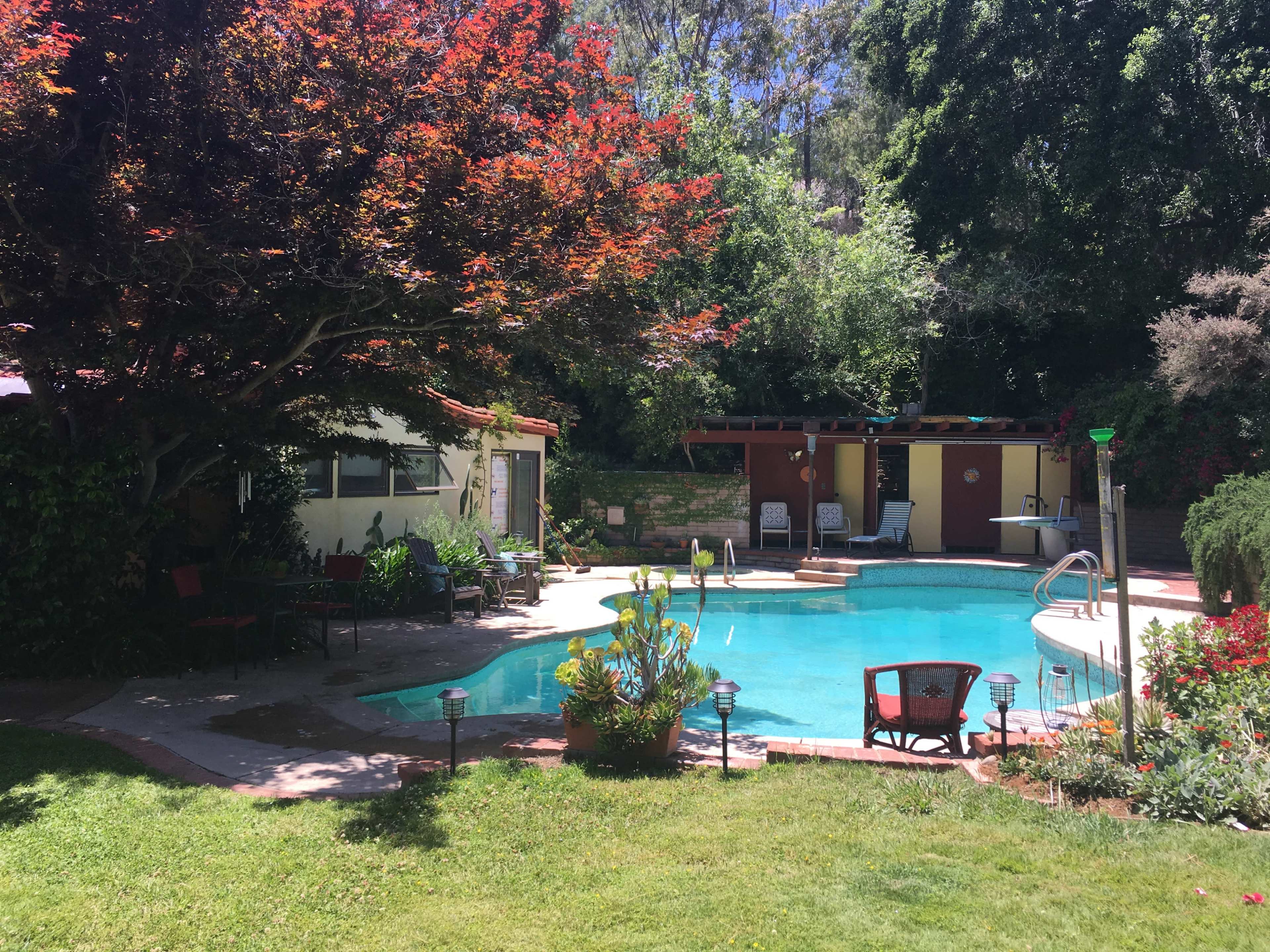 A swimming pool is surrounded by greenery and outdoor seating in a residential backyard.