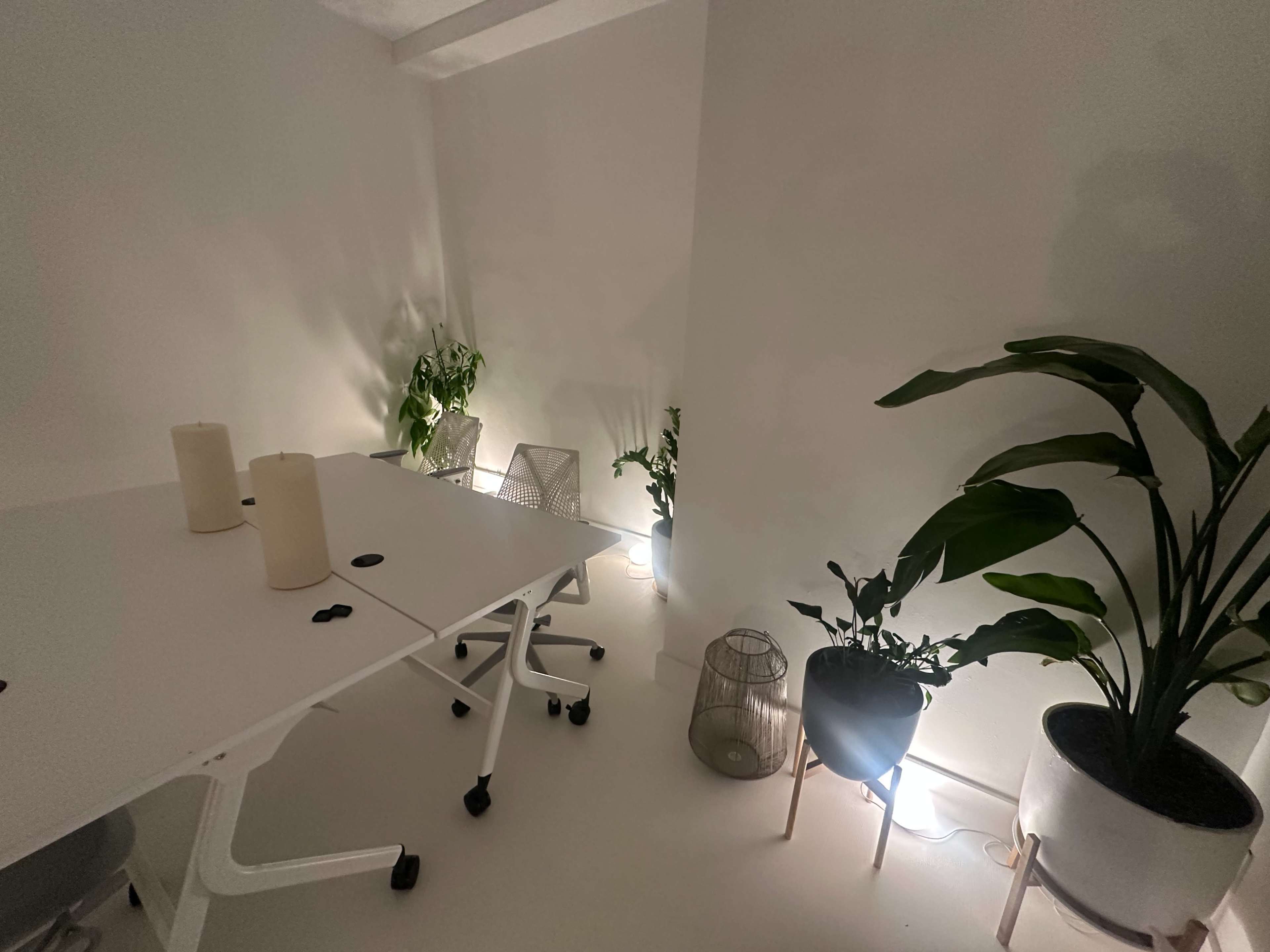 The image shows a minimalist office space with a white table, two chairs, and potted plants illuminated by soft lights against a plain wall.