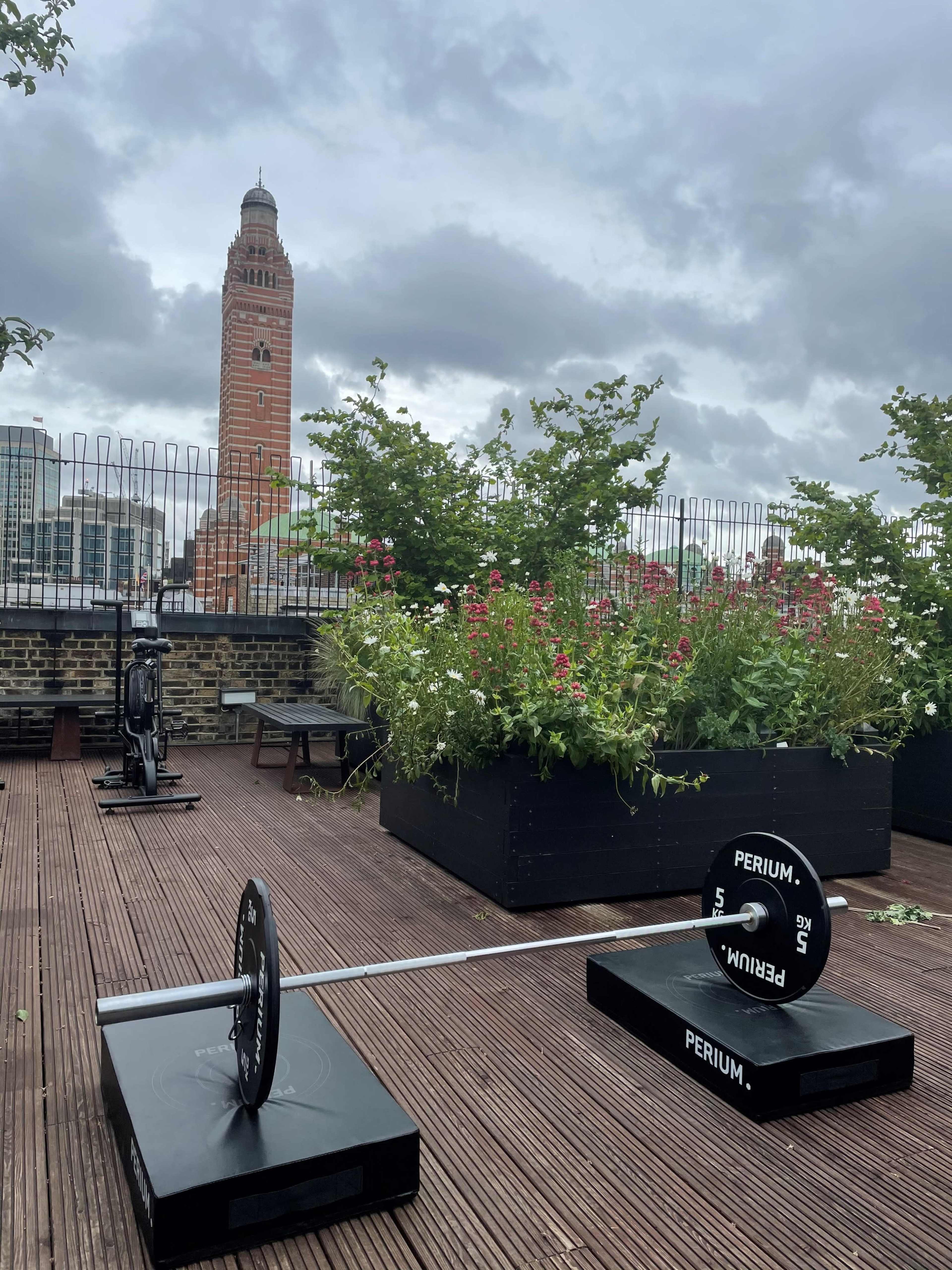 A rooftop gym setup features a barbell with weights and a scenic view of a tower in the background, surrounded by greenery and flowers.