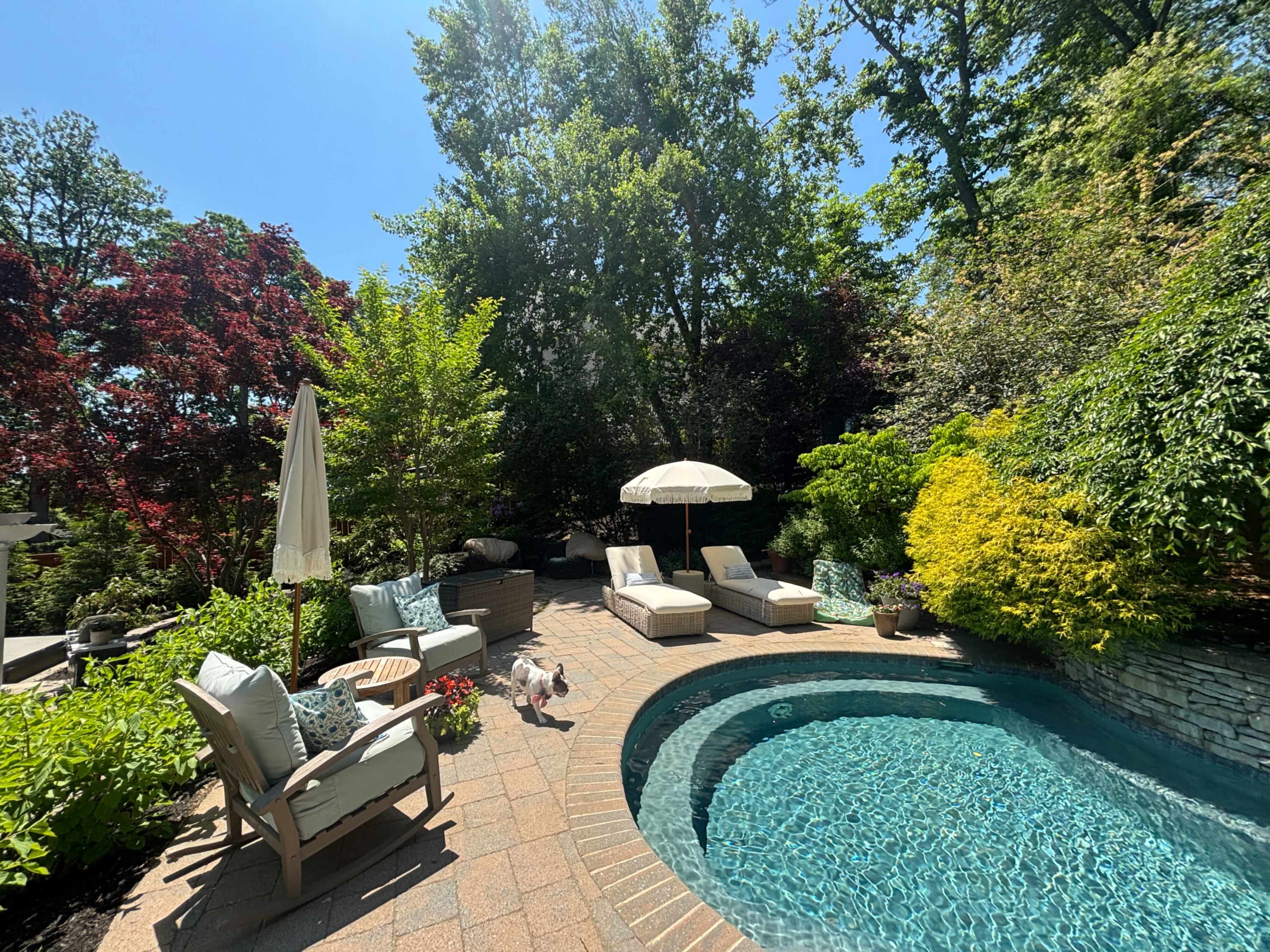 A landscaped backyard features a swimming pool surrounded by lounge chairs, colorful plants, and shaded by trees under a clear blue sky.