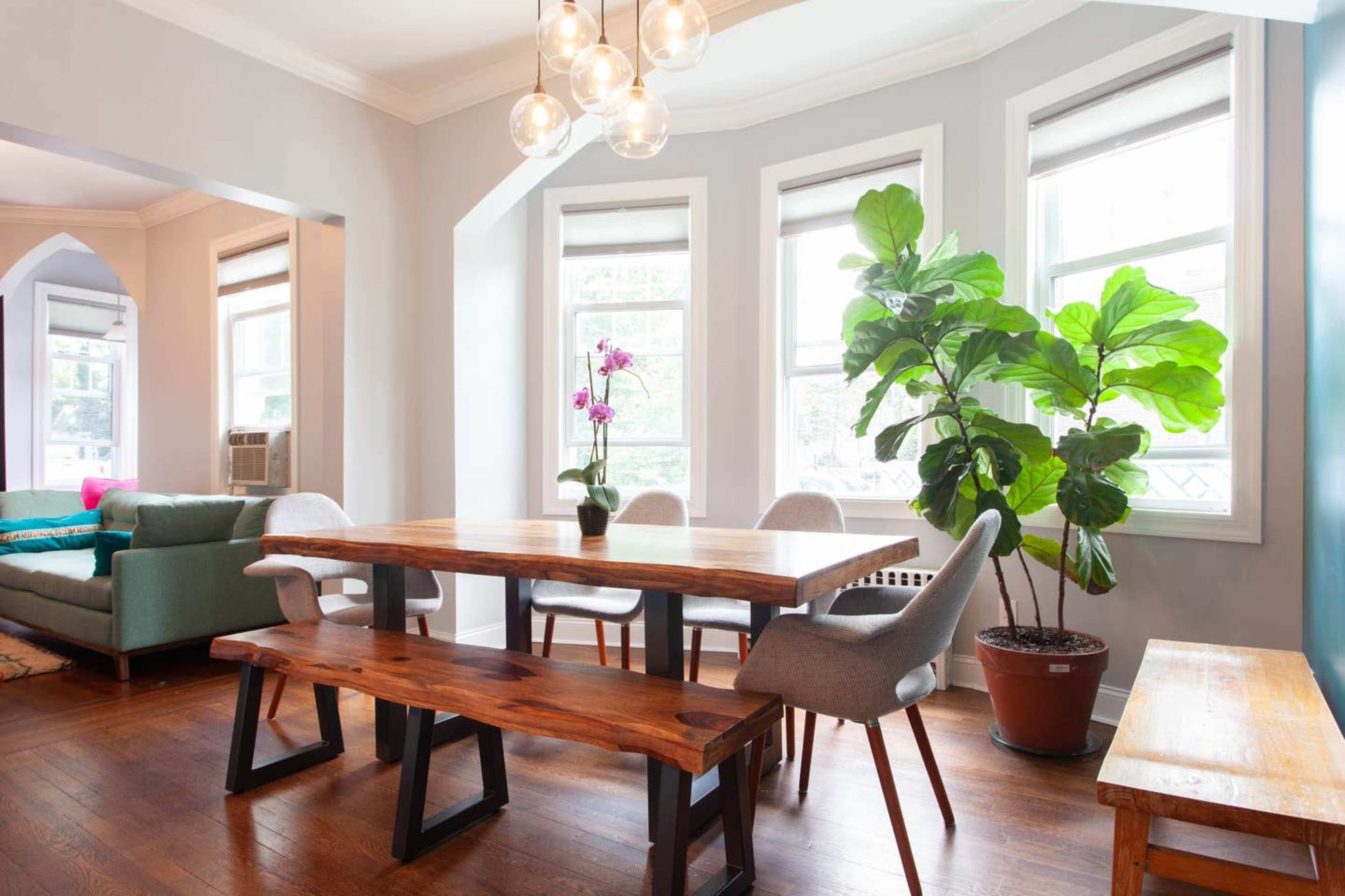 A wooden dining table with chairs is positioned in a bright, airy room featuring large windows and a potted plant.