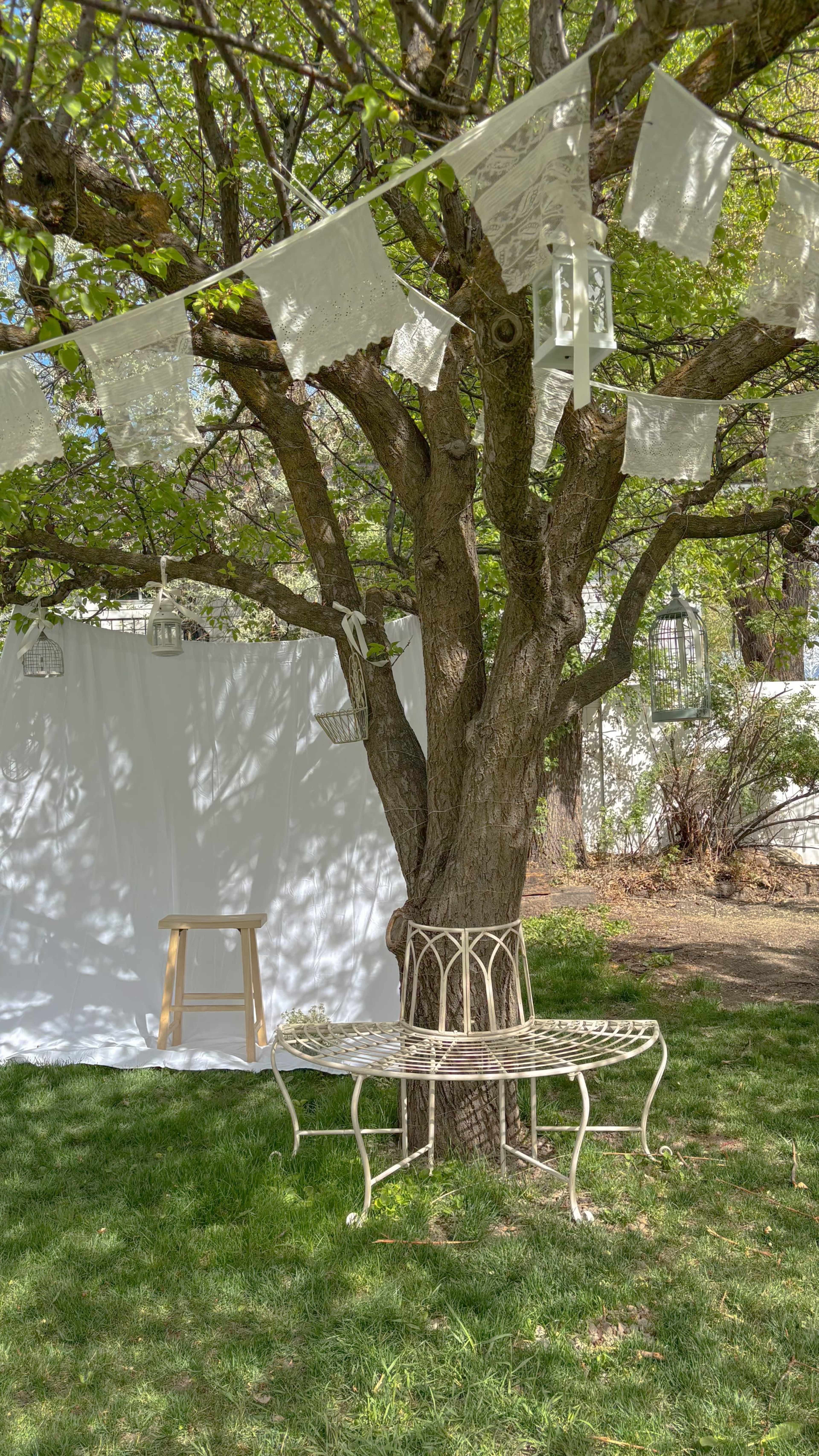 A white backdrop hangs near a tree, featuring a decorative bench and paper lanterns suspended from the branches.