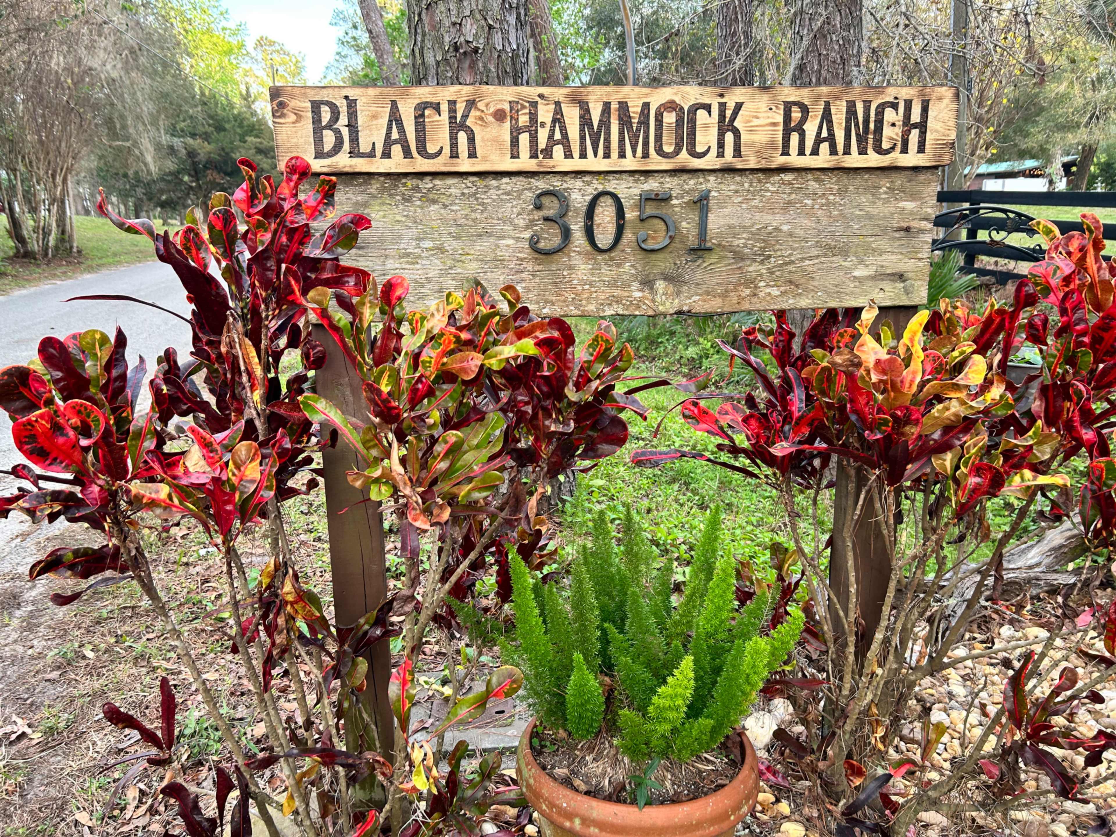 A wooden sign reading "Black Hammock Ranch 3051" is surrounded by colorful foliage and a potted fern.