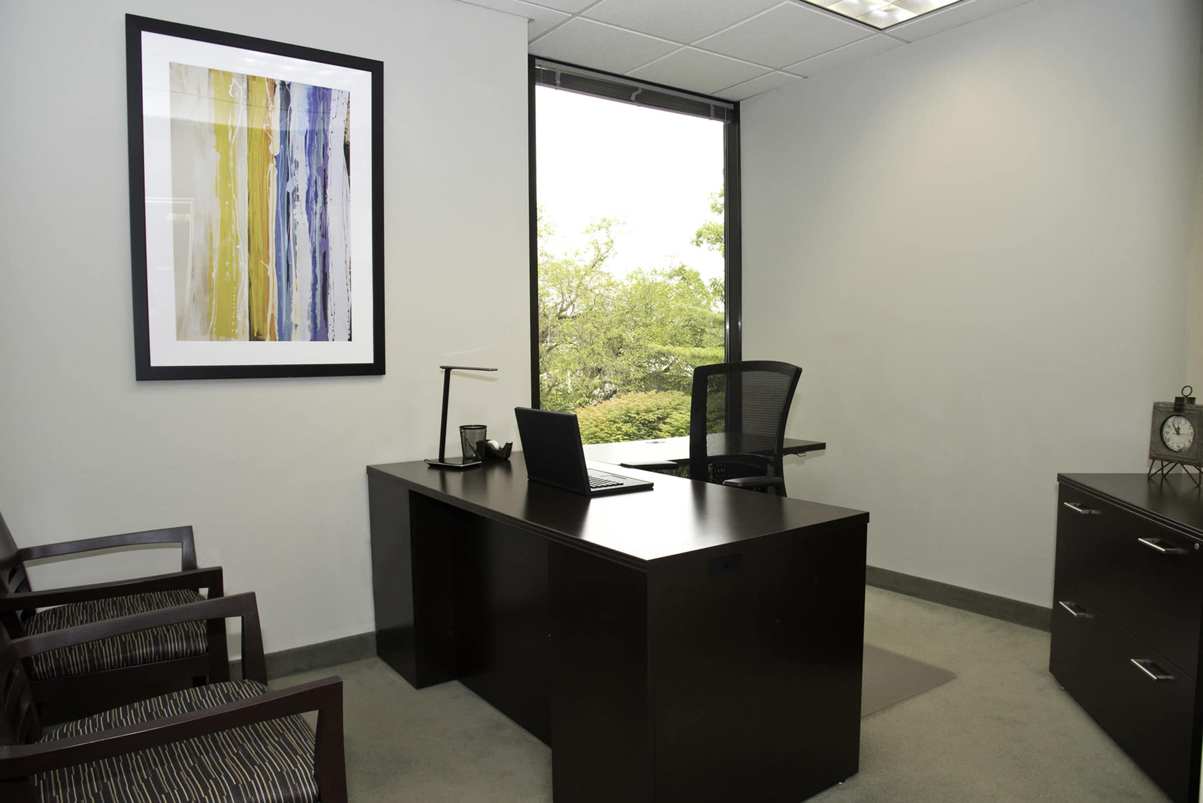 The image shows an office space featuring a desk with a laptop, an office chair, a piece of abstract artwork on the wall, and a window overlooking greenery.