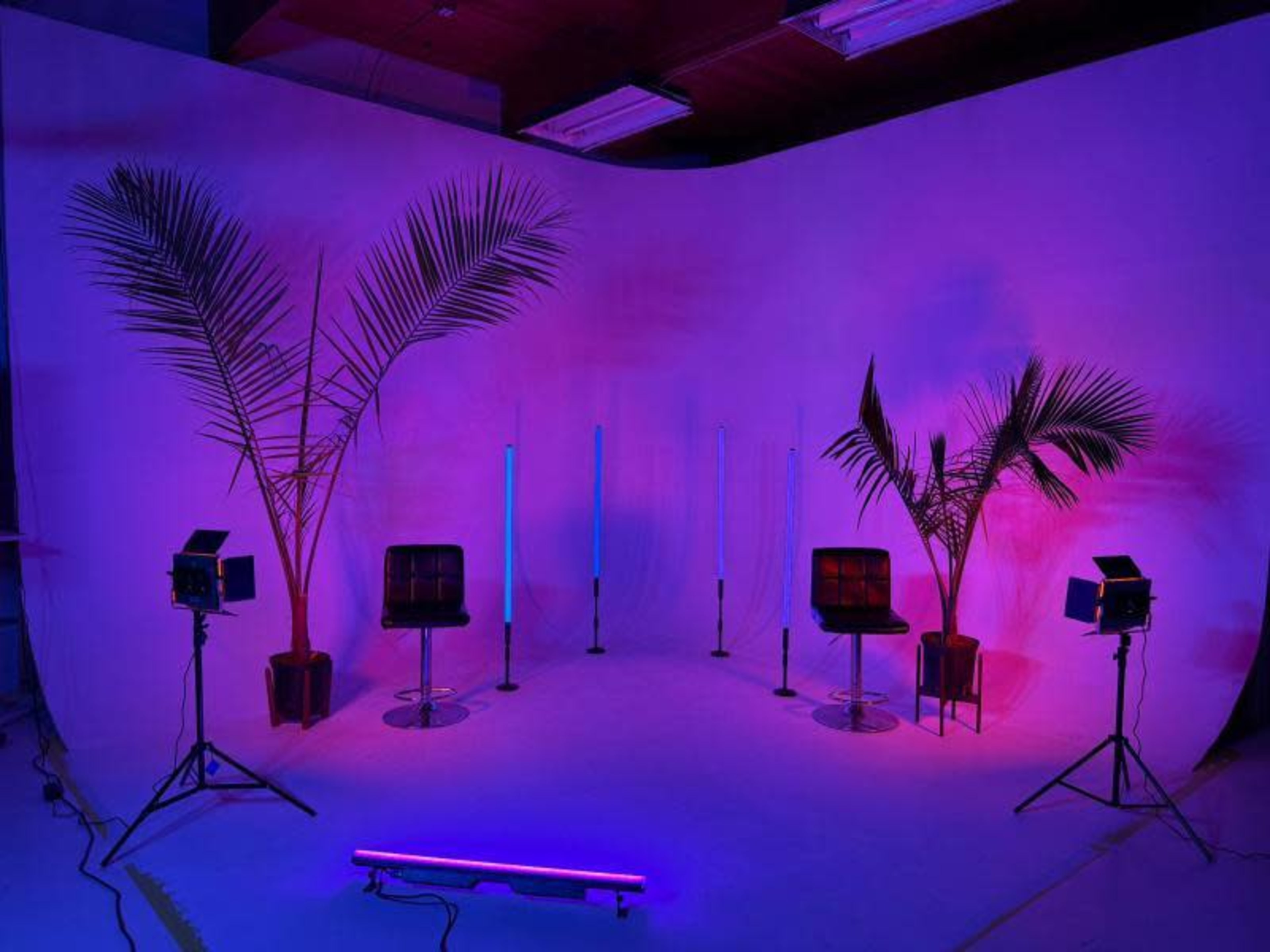 The image shows a studio setup with two palm trees, three vertical light fixtures, and two black stools staged against a lit backdrop.